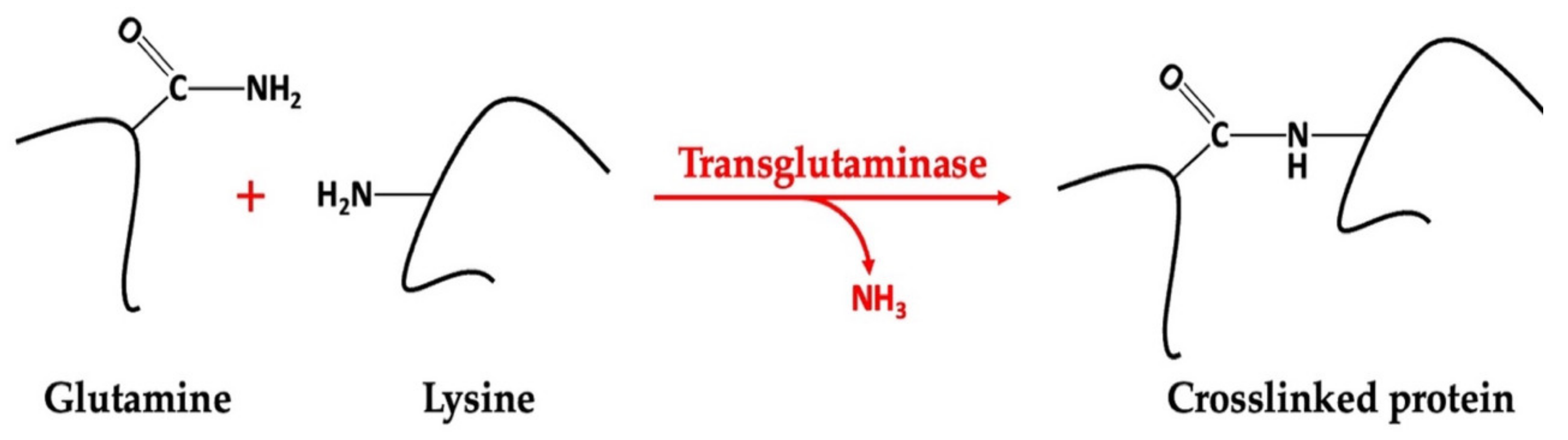 Gels 09 00068 g004 Gels 09 00068 g004