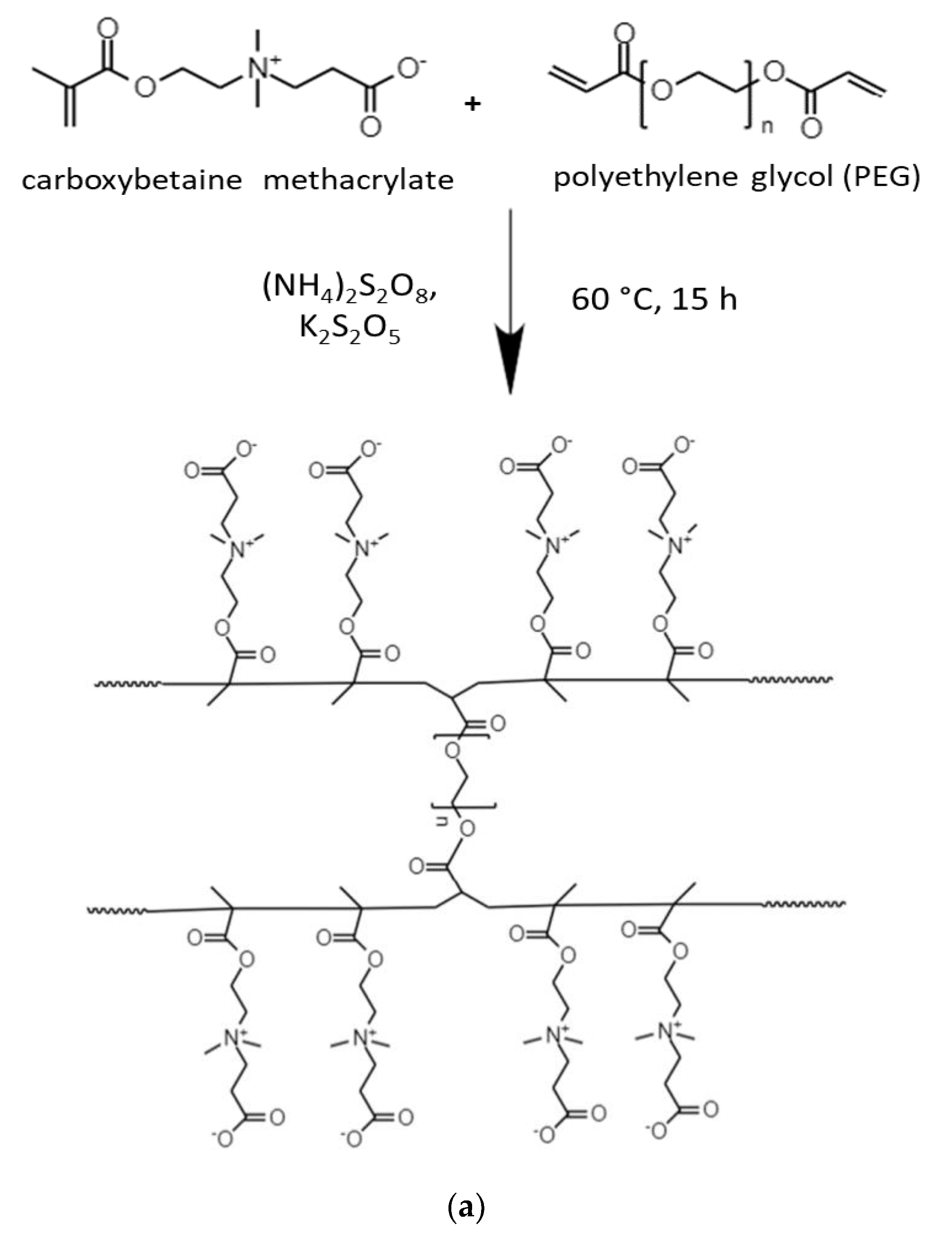 Gels 09 00090 sch003a