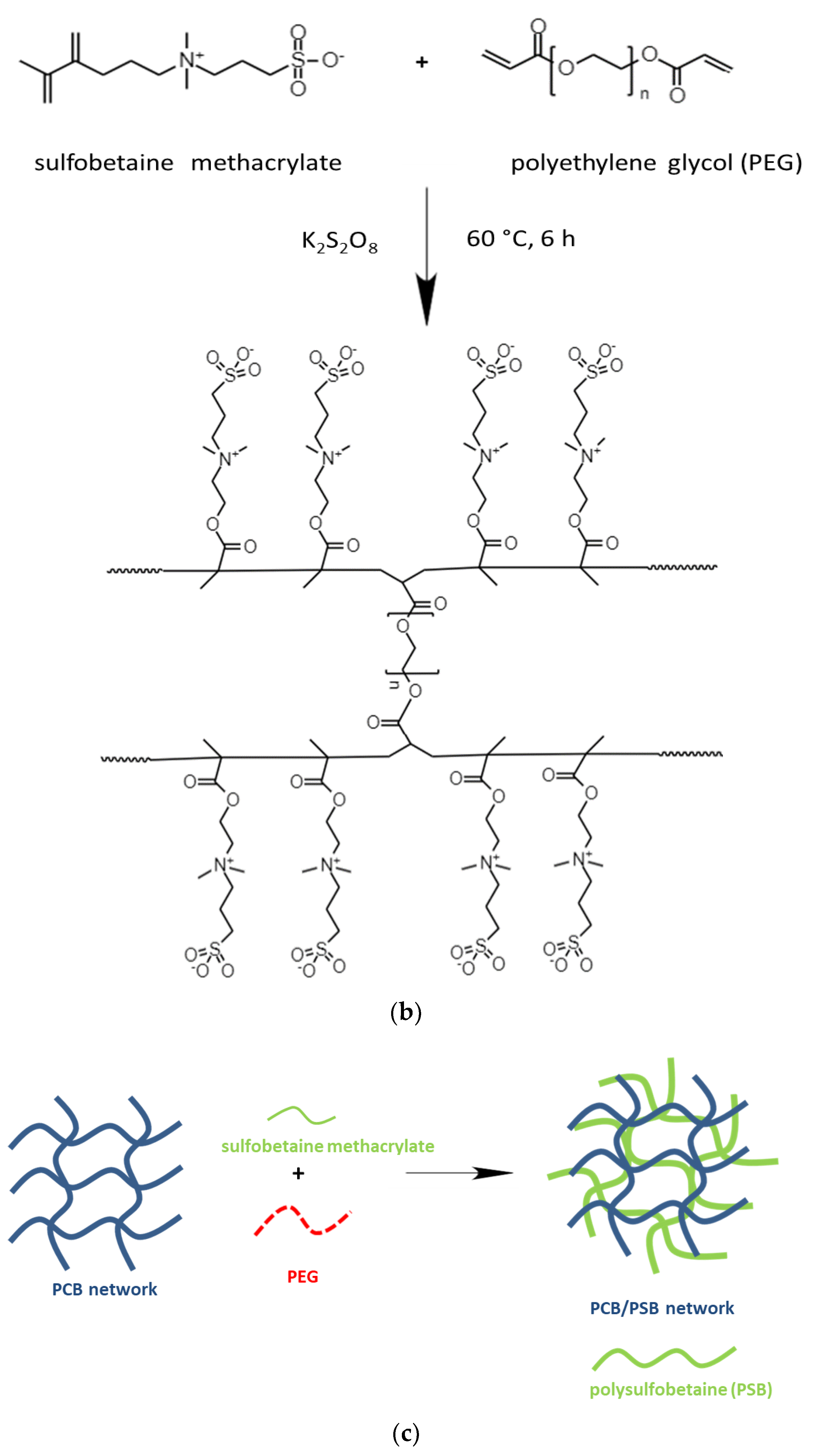 Gels 09 00090 sch003b
