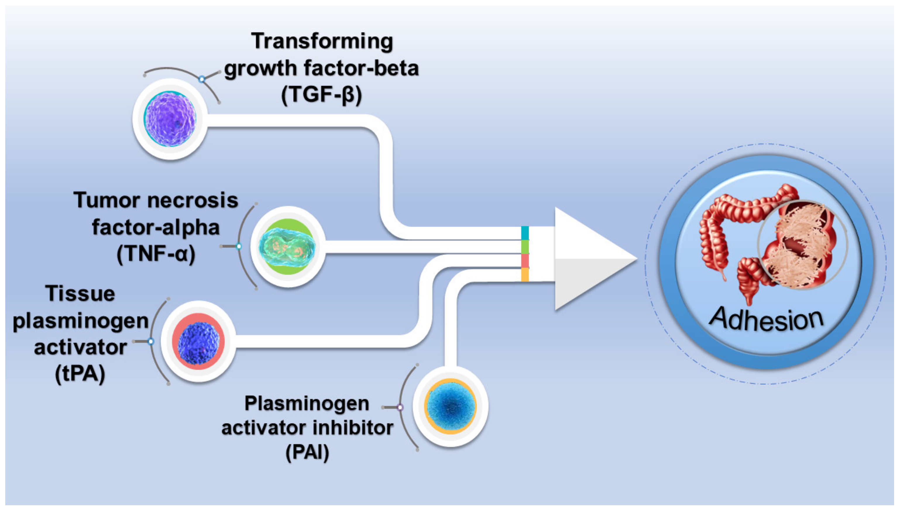 Gels | Free Full-Text | Application of Polymer Hydrogels in the 