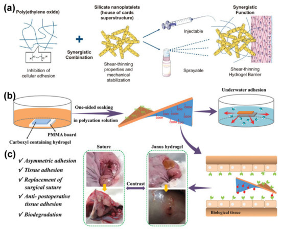 Gels | Free Full-Text | Application of Polymer Hydrogels in the 