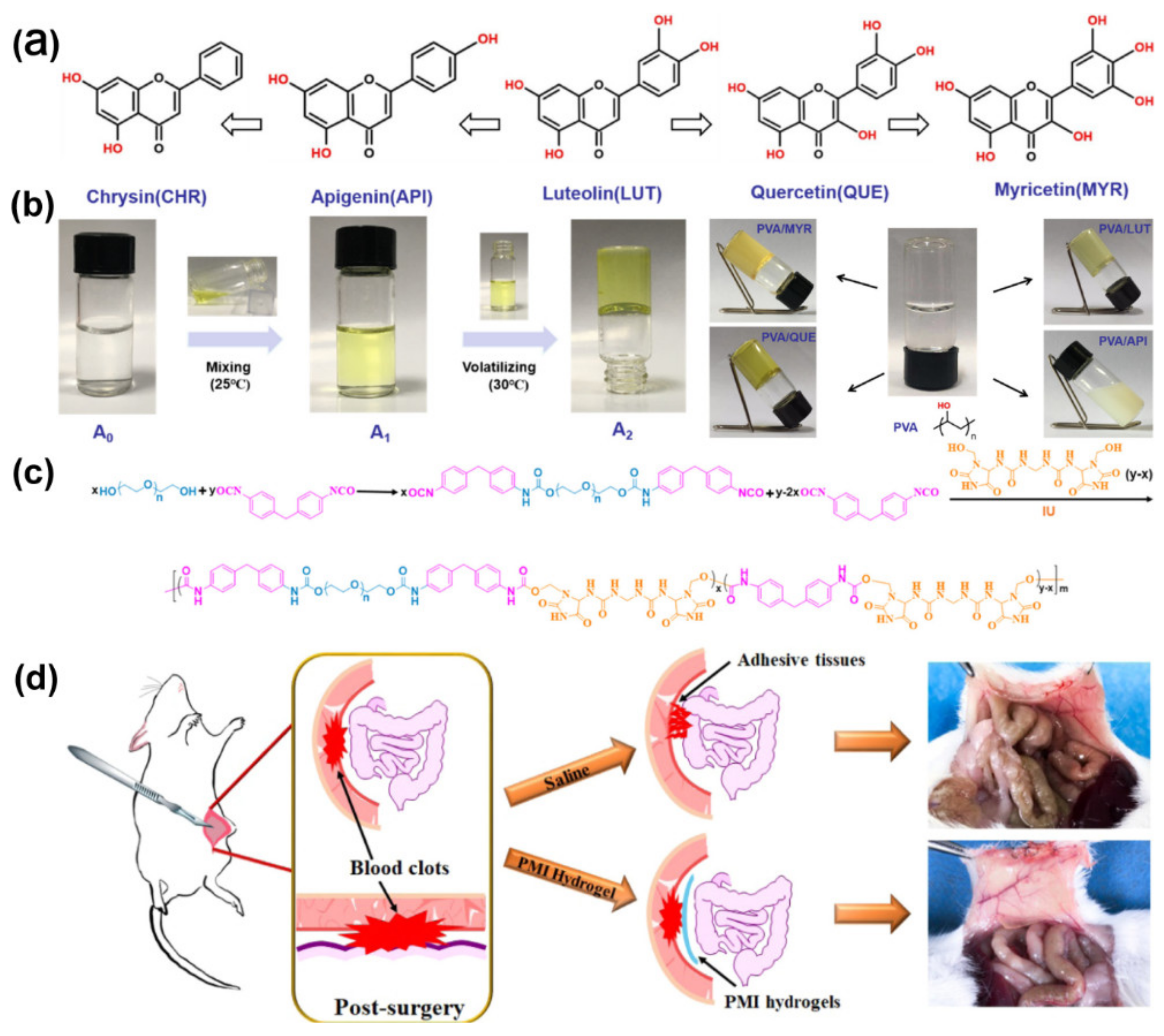 Gels | Free Full-Text | Application of Polymer Hydrogels in the 