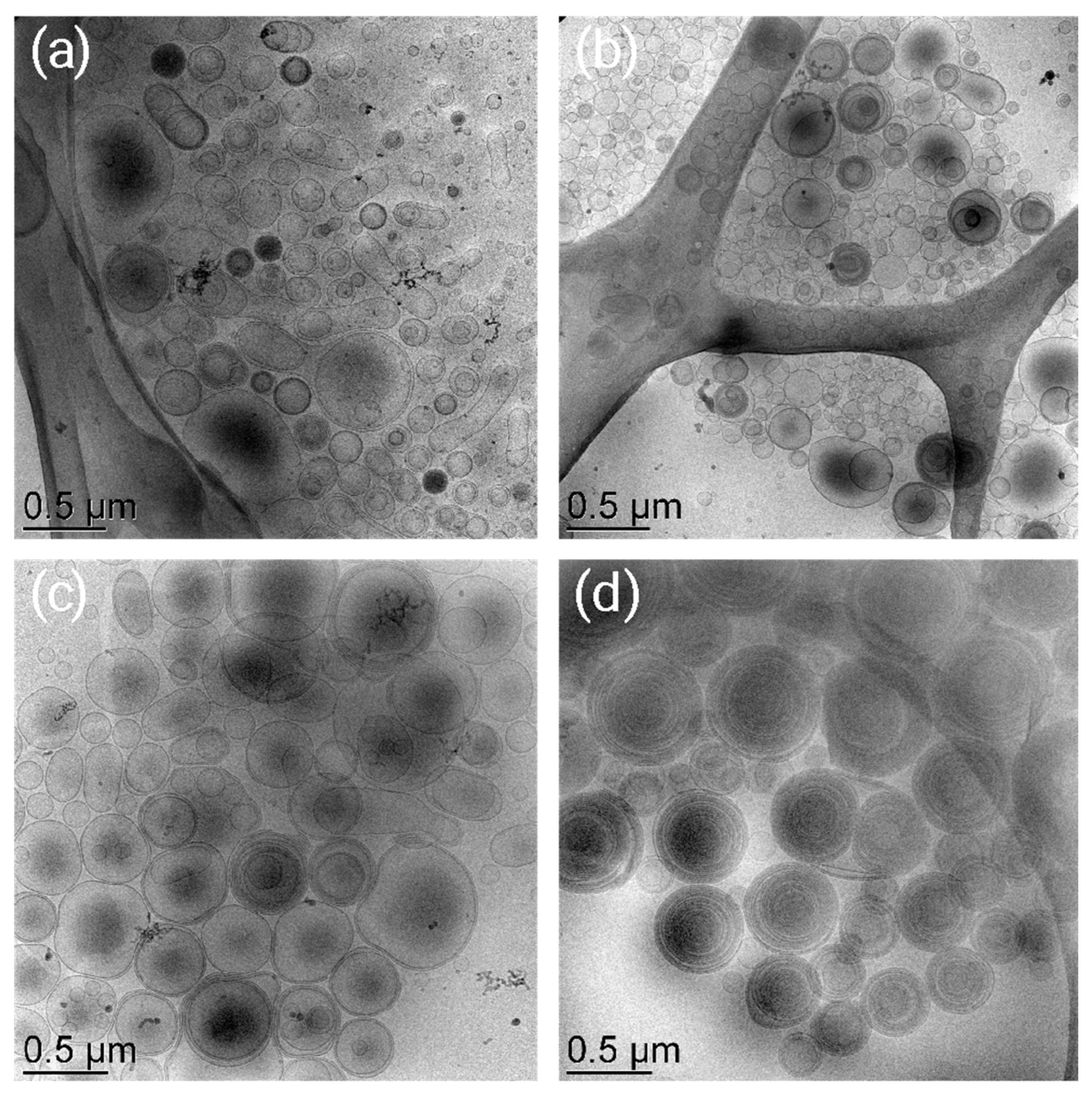 Gels 09 00107 g001 Gels 09 00107 g001