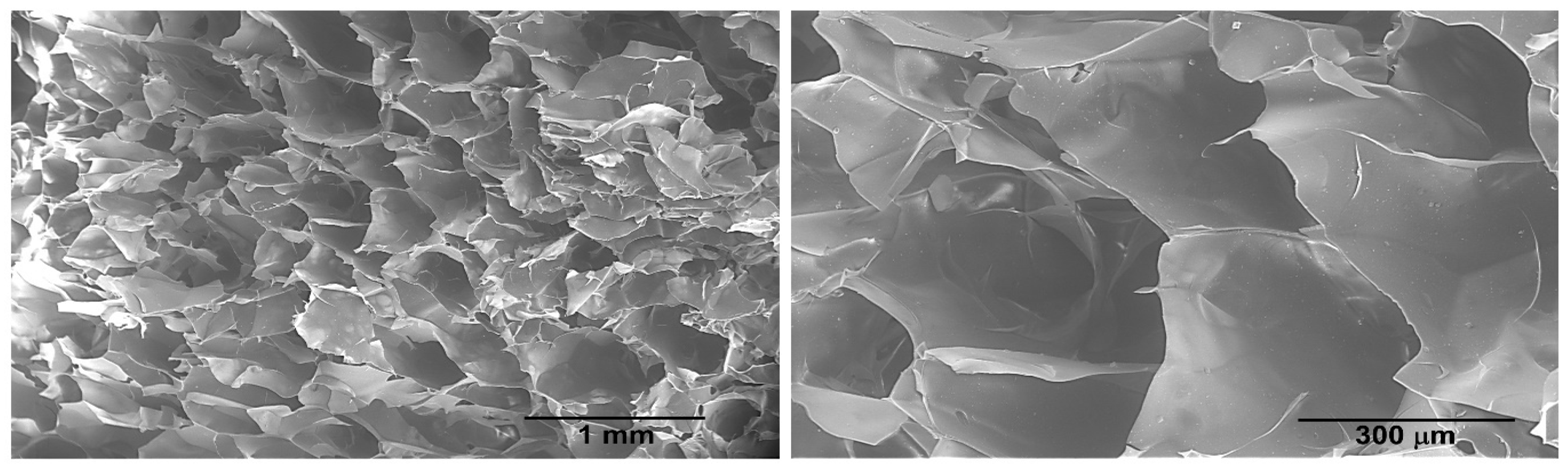 Gels 09 00124 g006 550