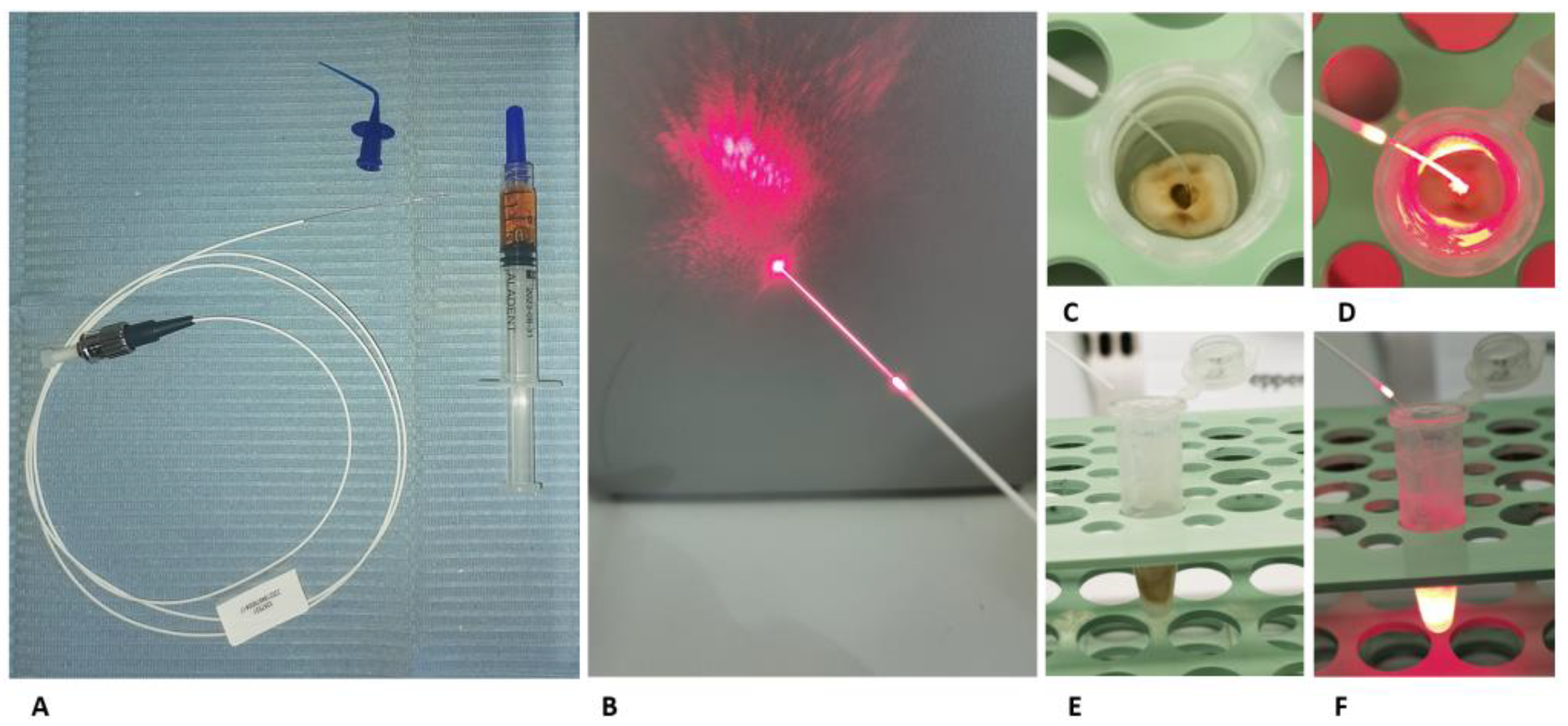 Gels 09 00125 g003 Gels 09 00125 g003