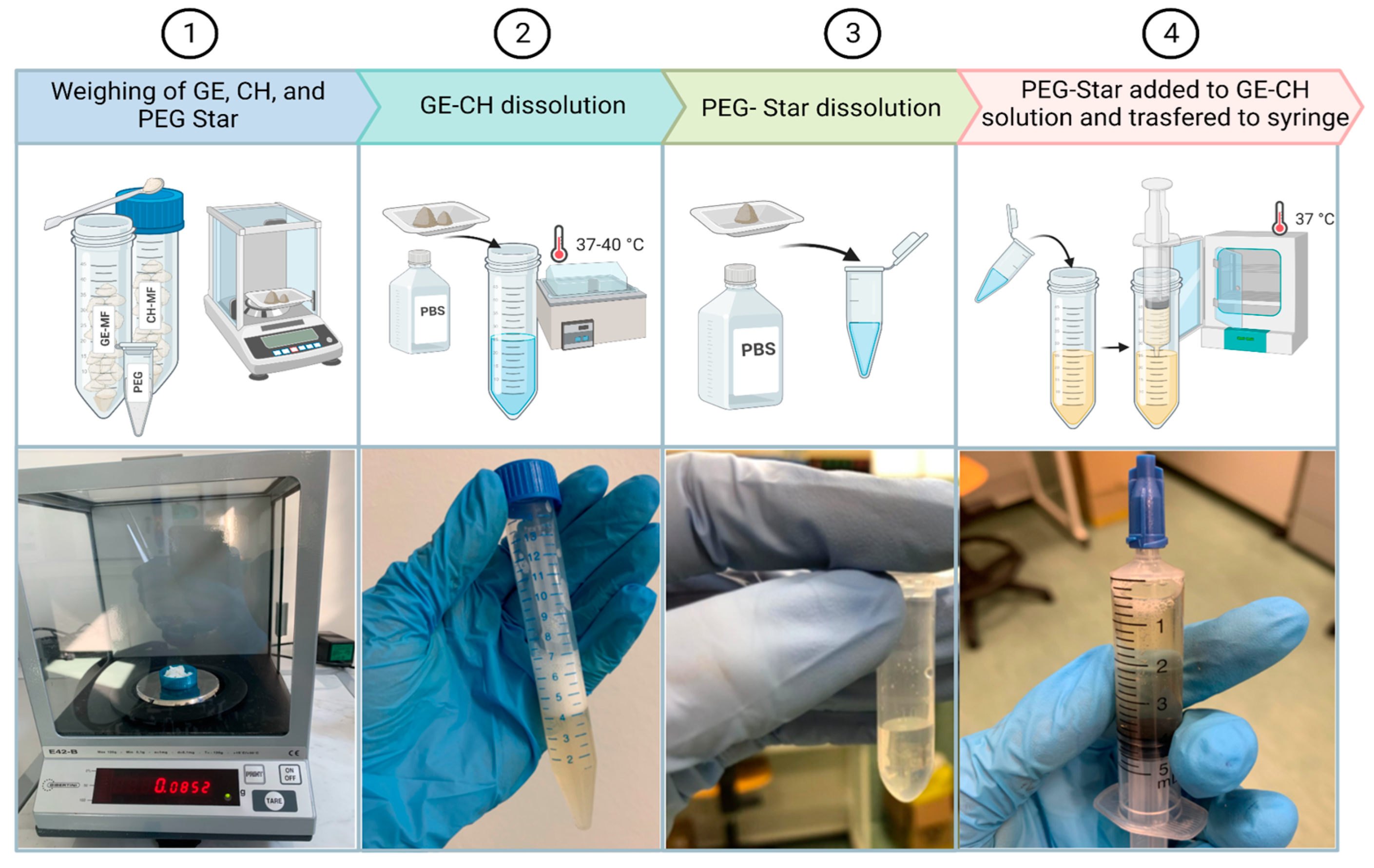 Gels 09 00129 g007 550