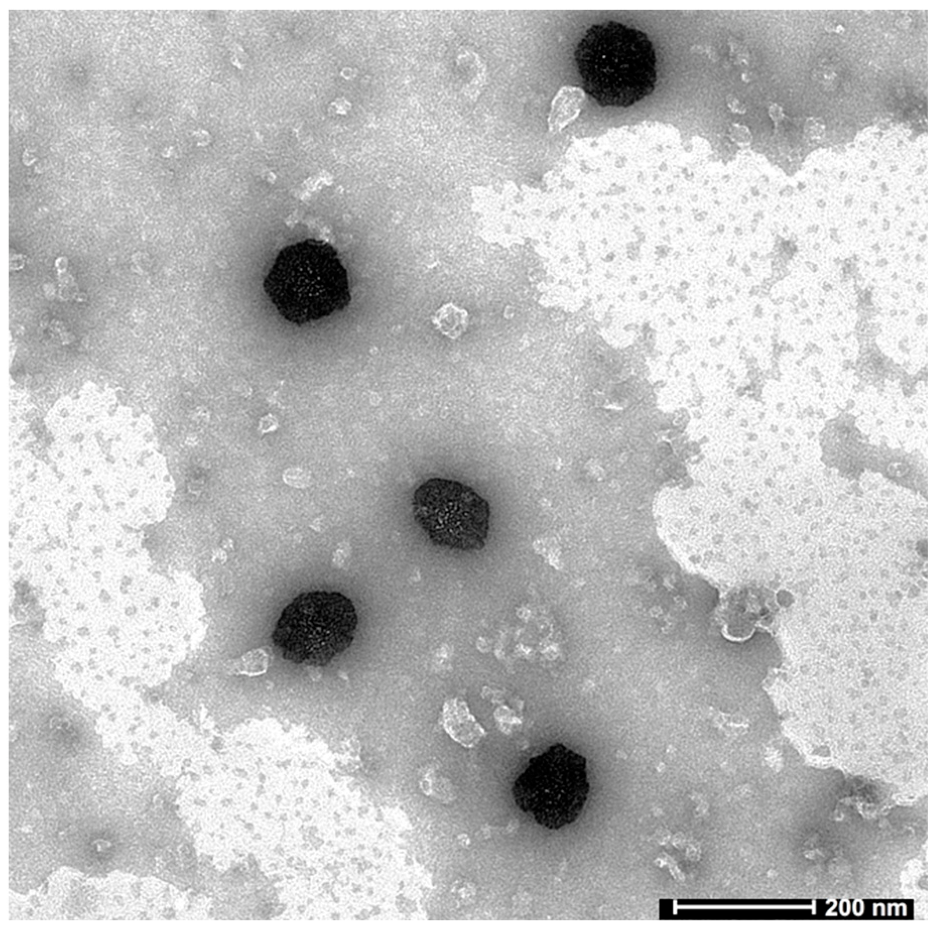 Gels 09 00130 g007 Gels 09 00130 g007