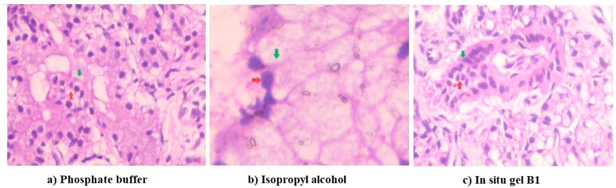 Gels 09 00130 g010 Gels 09 00130 g010