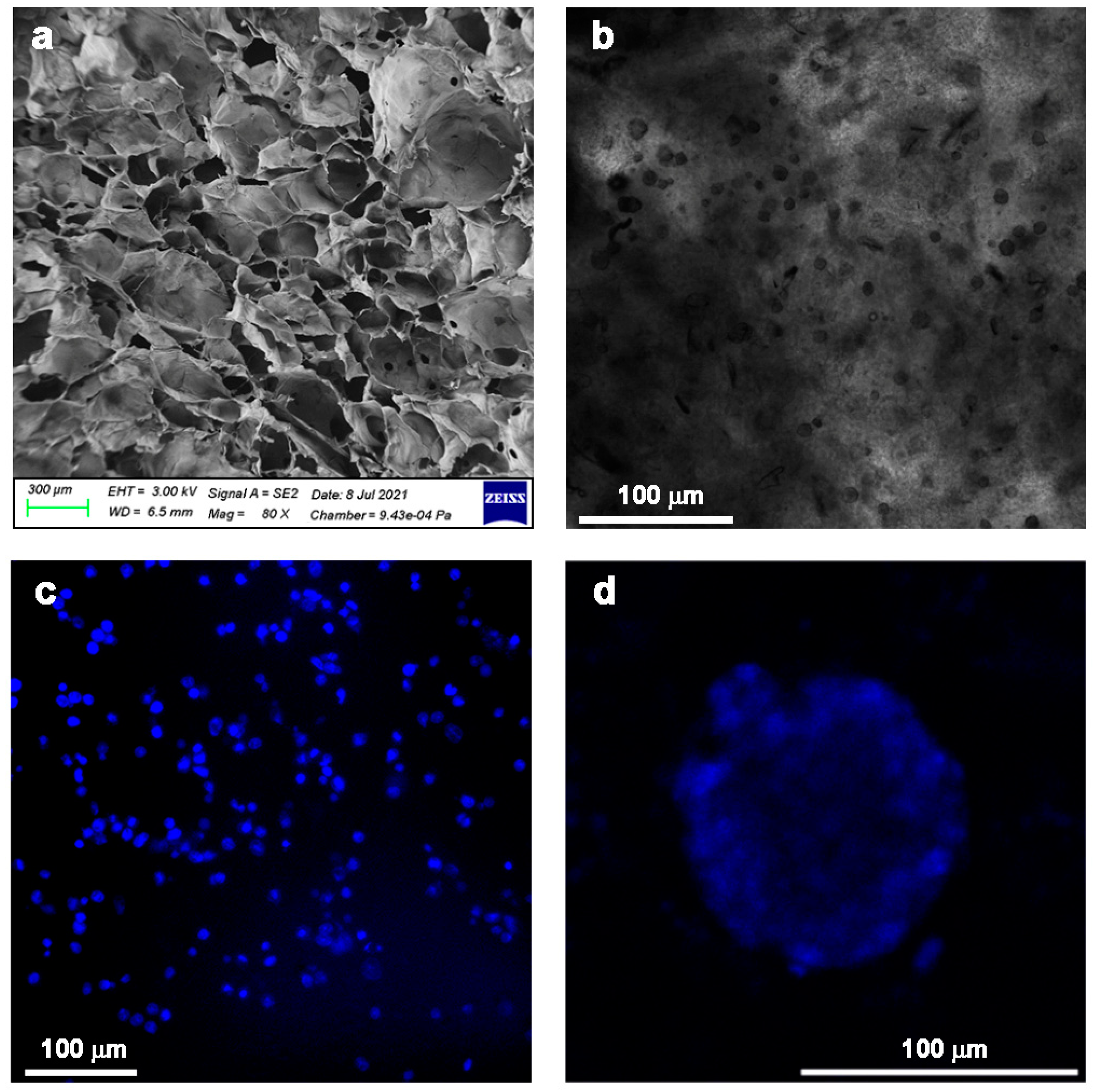 Gels 09 00132 g006 Gels 09 00132 g006