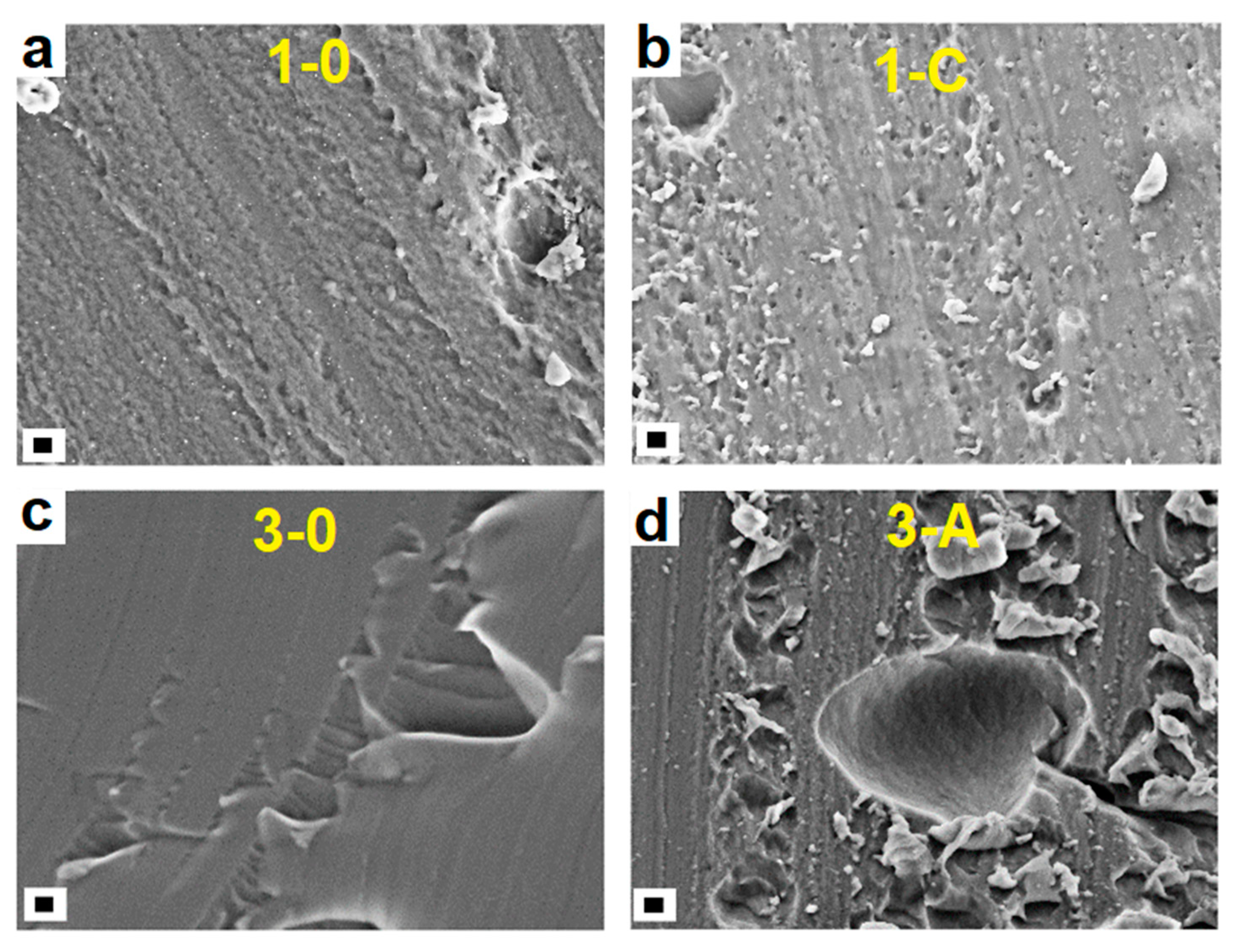 Gels 09 00133 g003 550