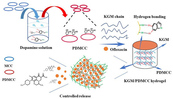 Polysaccharide-Based Multifunctional Hydrogel Bio-Adhesives