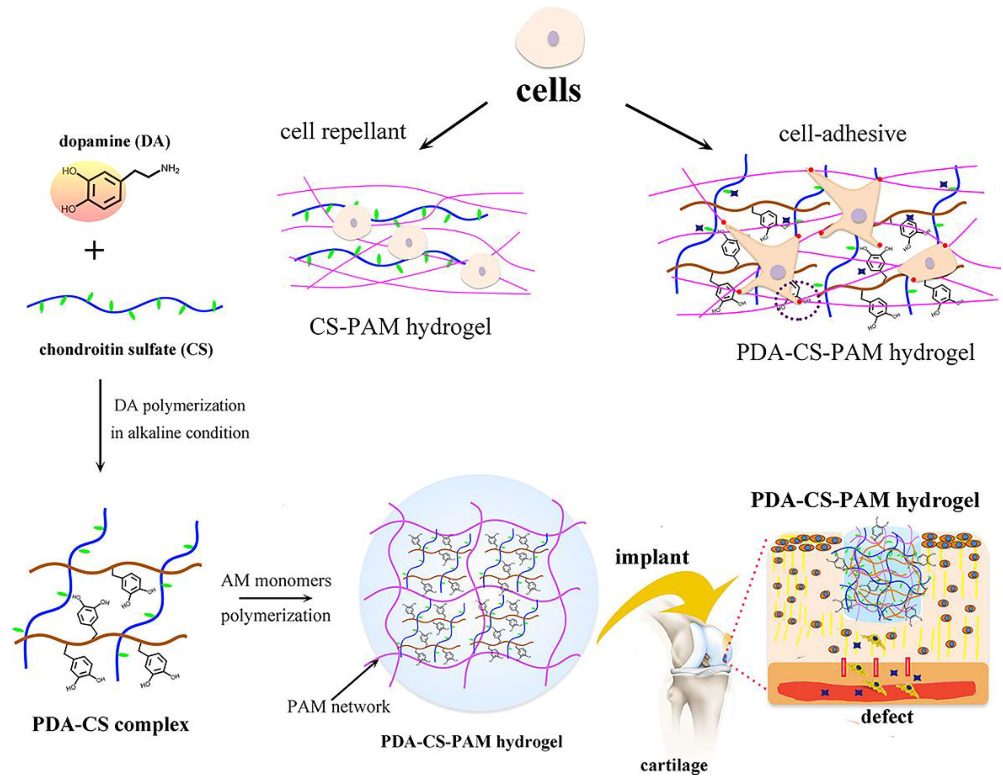 Gels 09 00138 g008 Gels 09 00138 g008