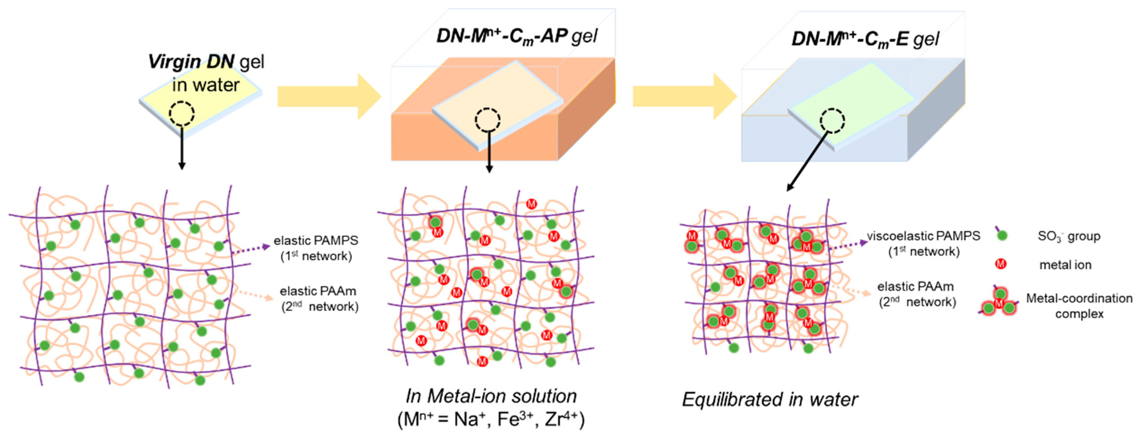 Gels 09 00145 g001 Gels 09 00145 g001