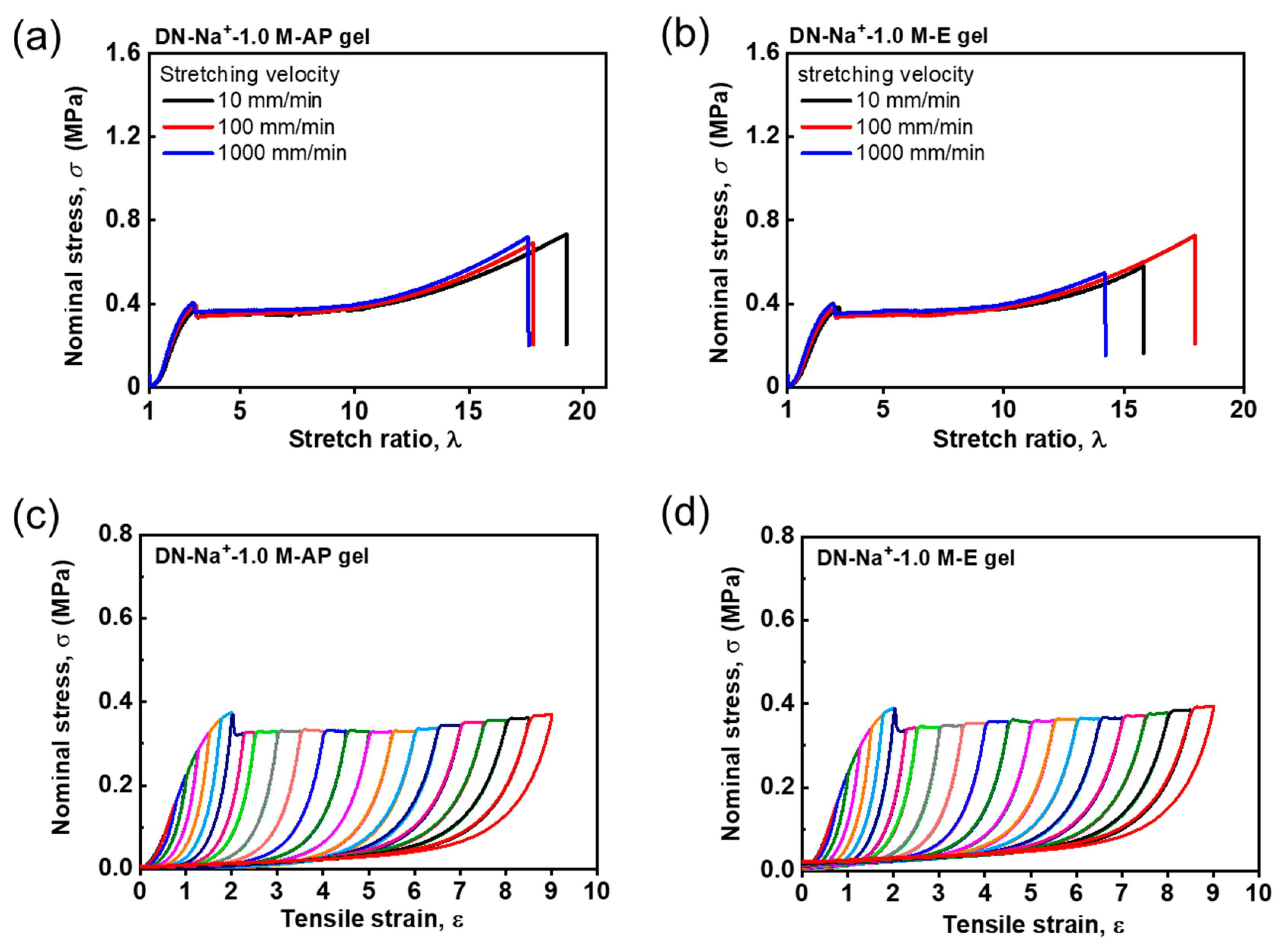 Gels 09 00145 g005 Gels 09 00145 g005