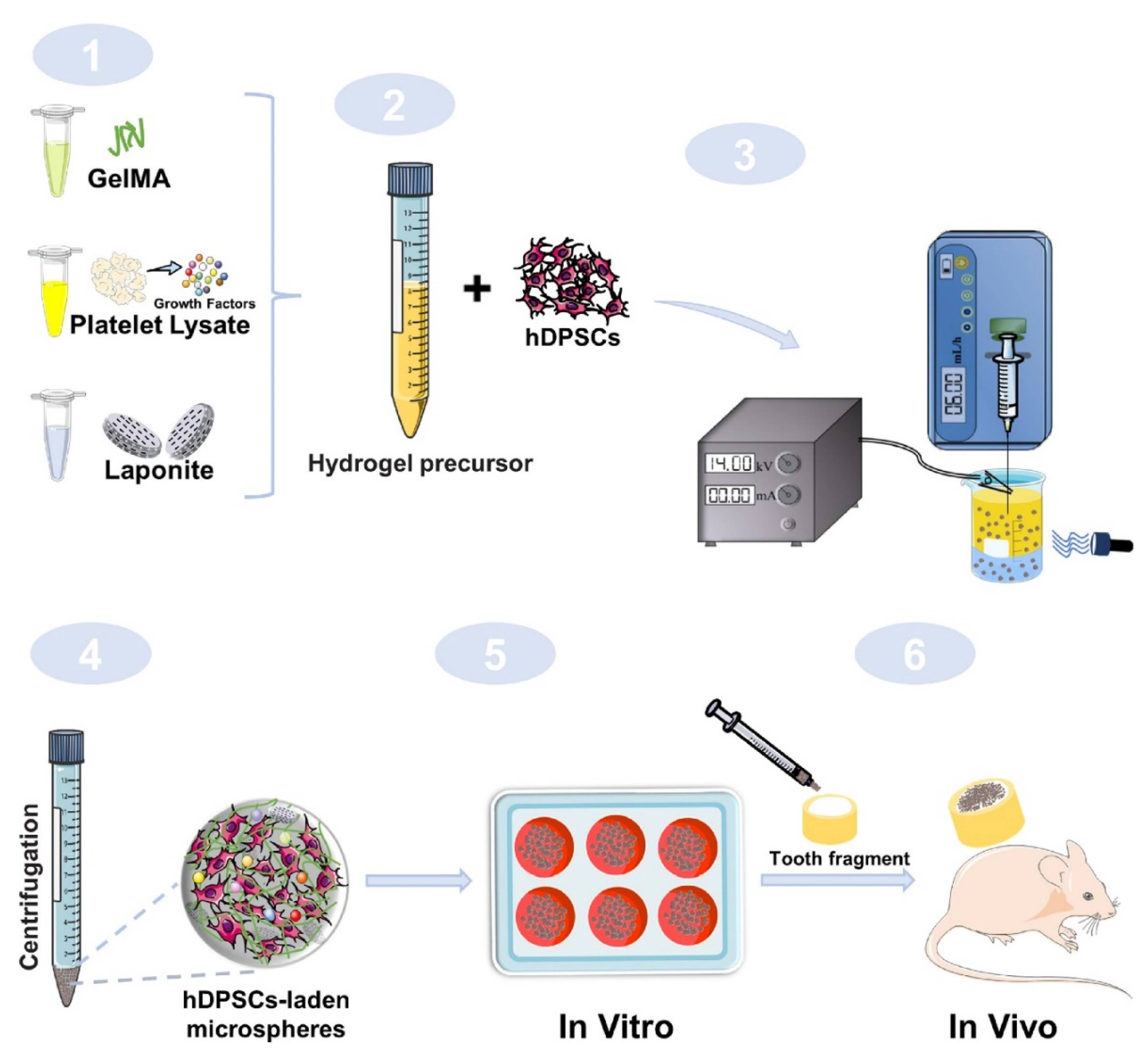 Gels 09 00146 g003 Gels 09 00146 g003