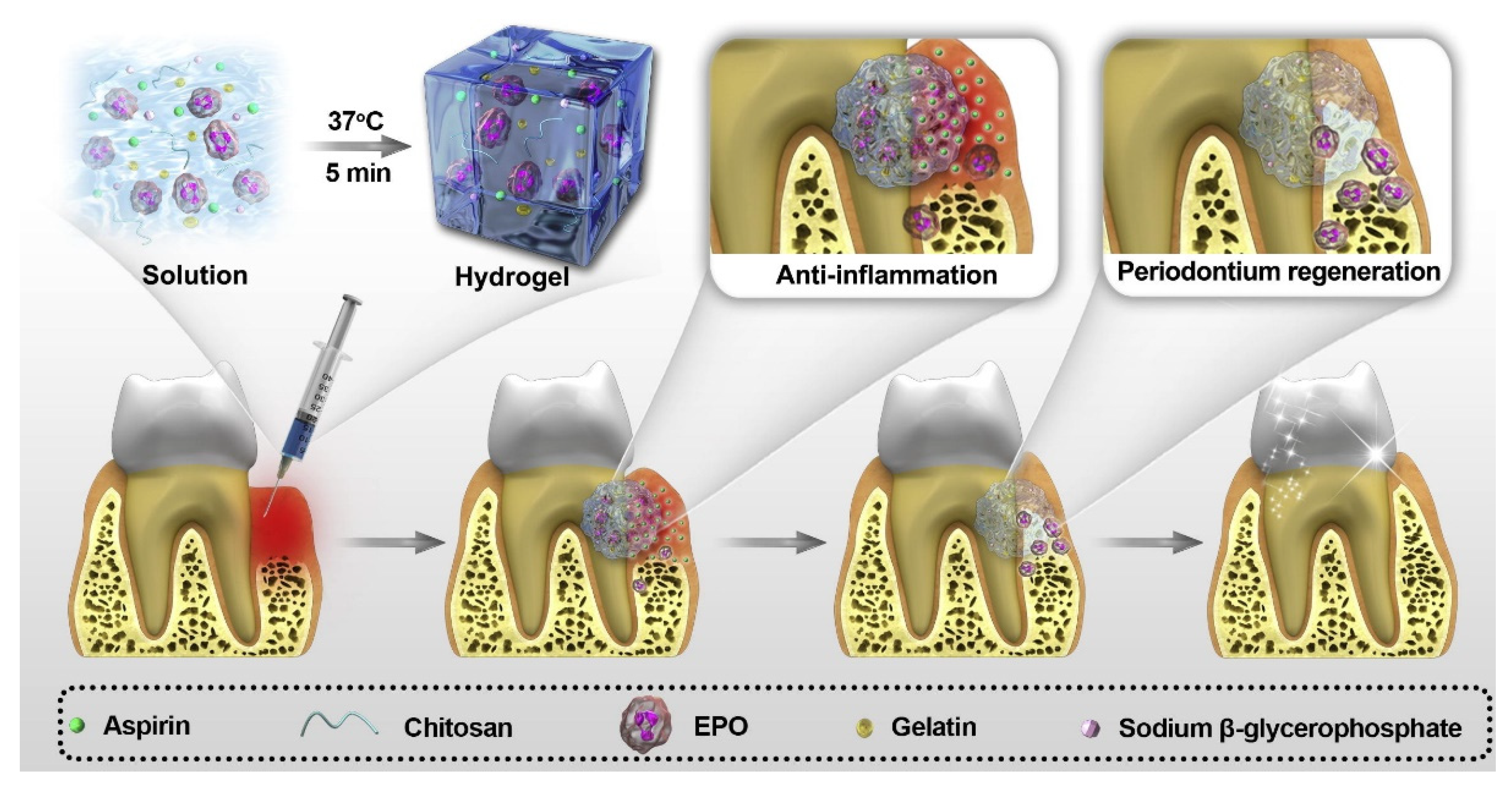 Gels 09 00146 g004 Gels 09 00146 g004
