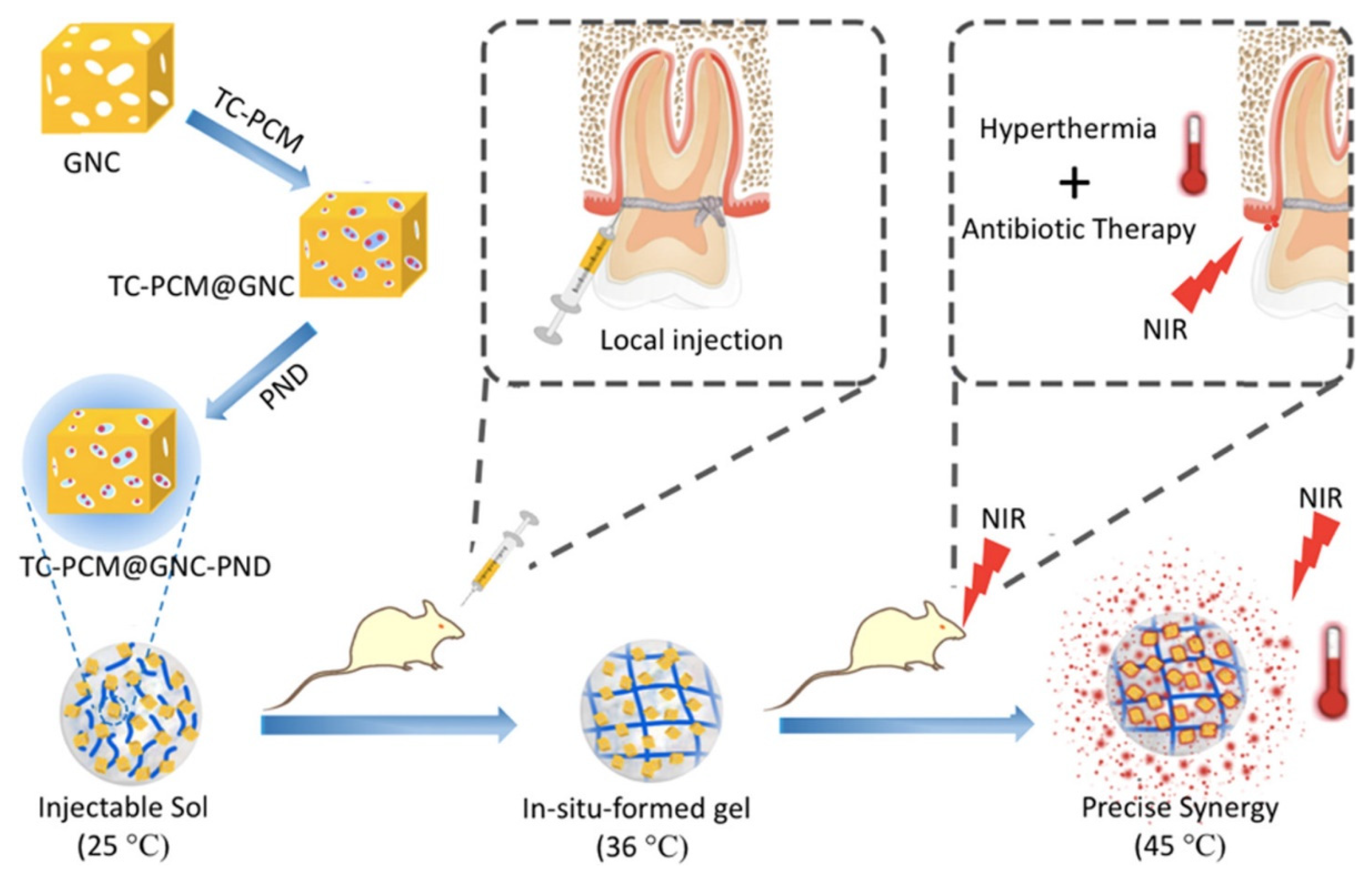 Gels 09 00146 g005 Gels 09 00146 g005