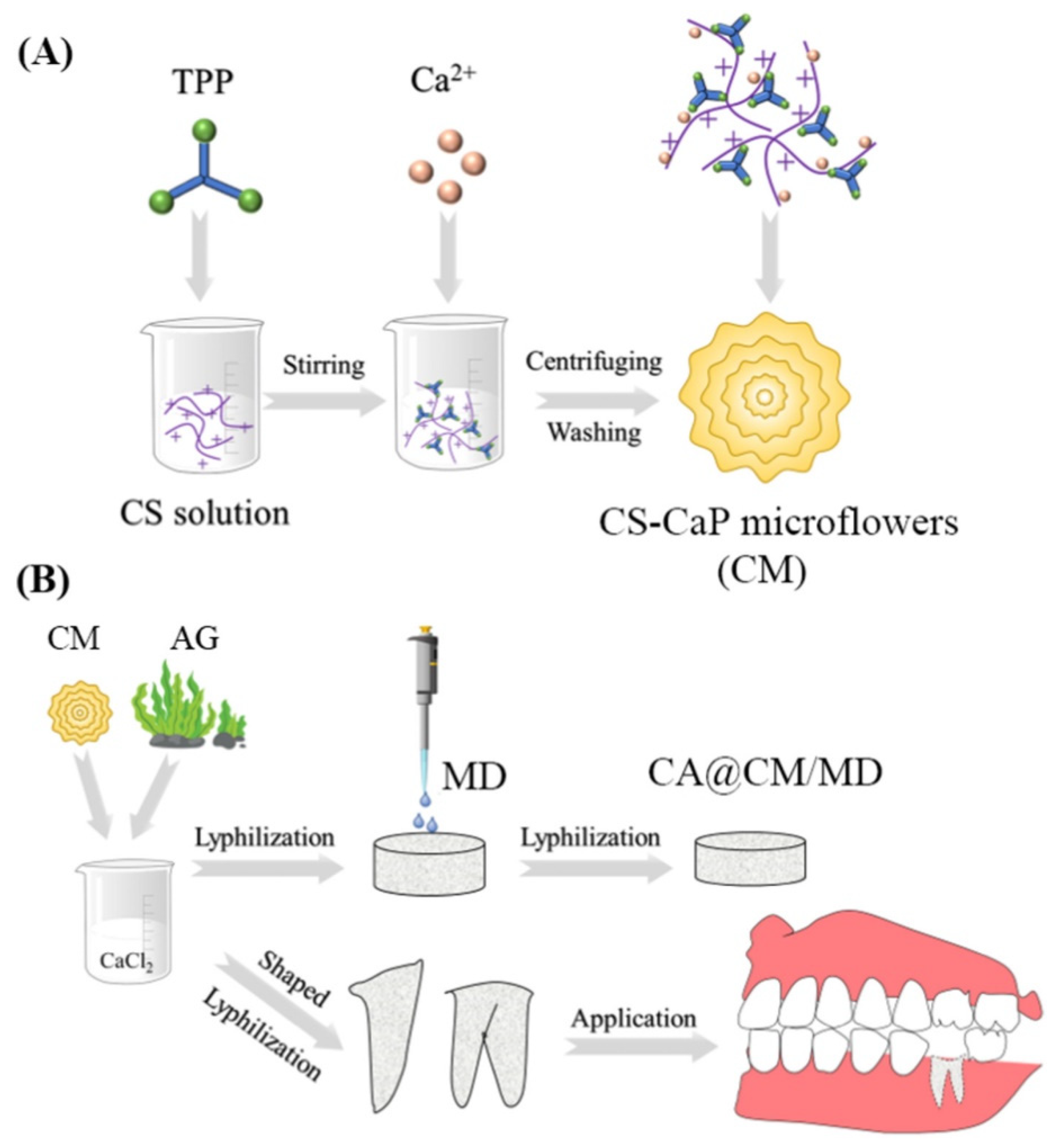 Gels 09 00146 g006 Gels 09 00146 g006