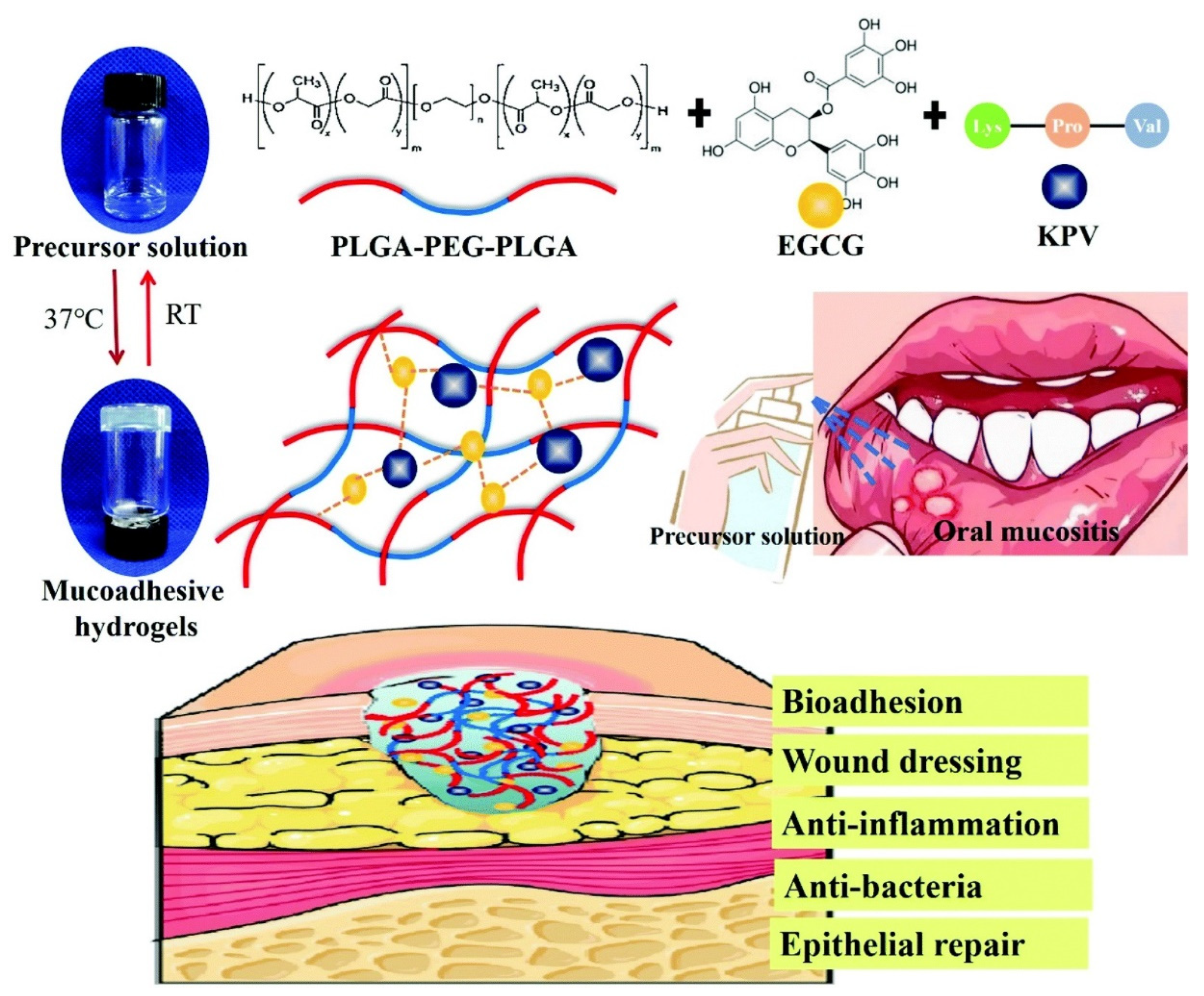 Gels 09 00146 g007 Gels 09 00146 g007