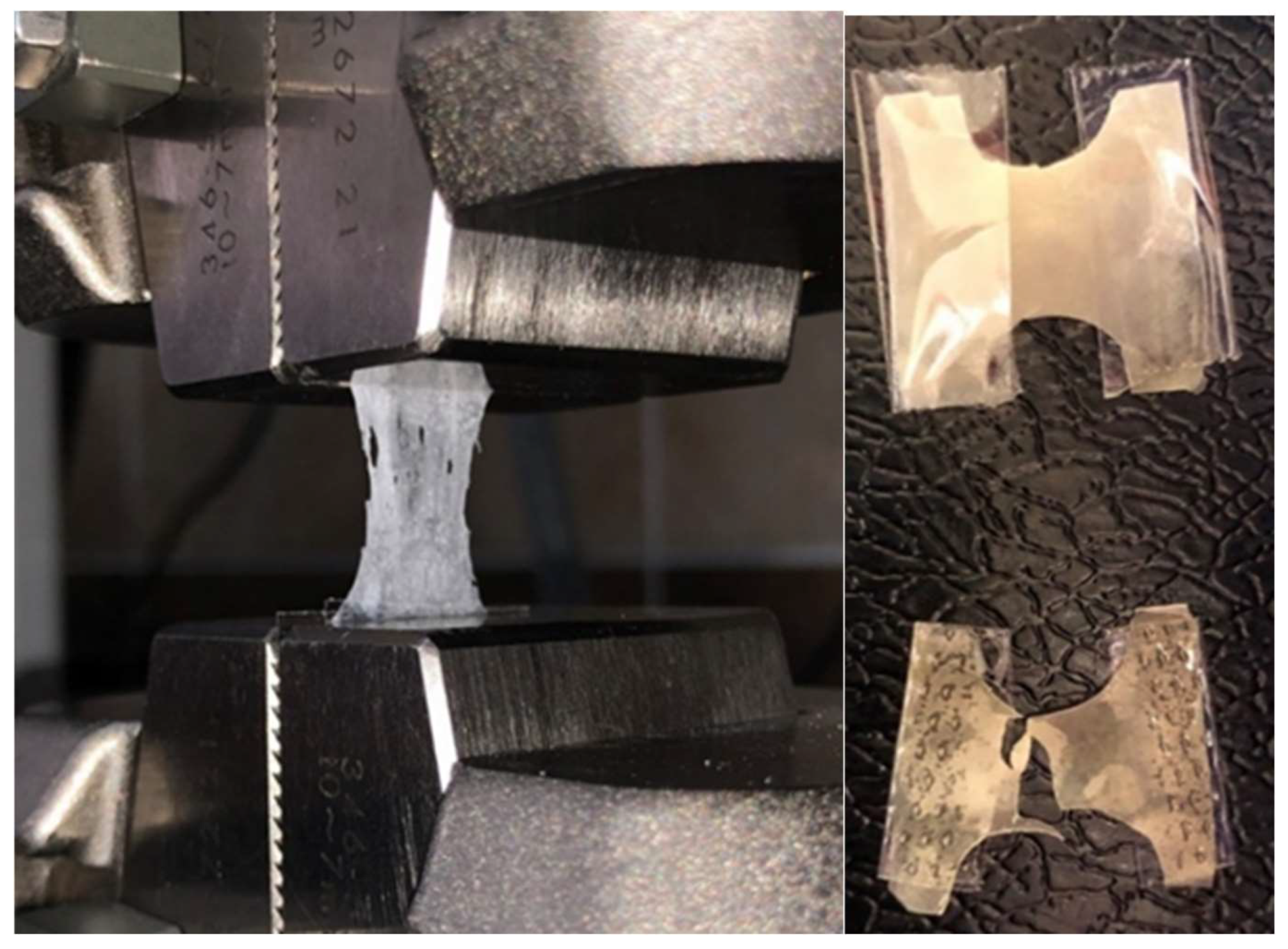 Gels 09 00147 g004 Gels 09 00147 g004