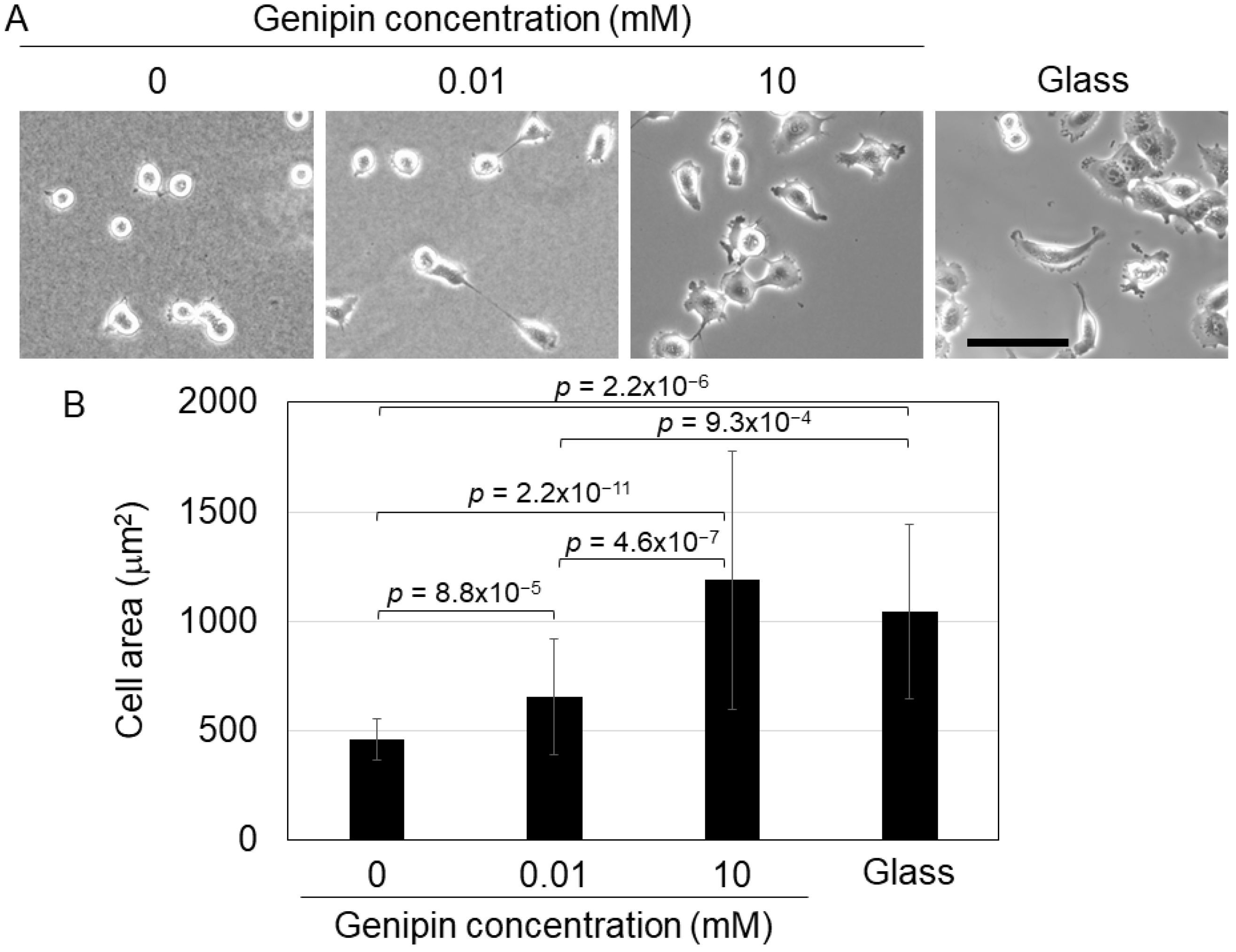 Gels 09 00148 g002 Gels 09 00148 g002