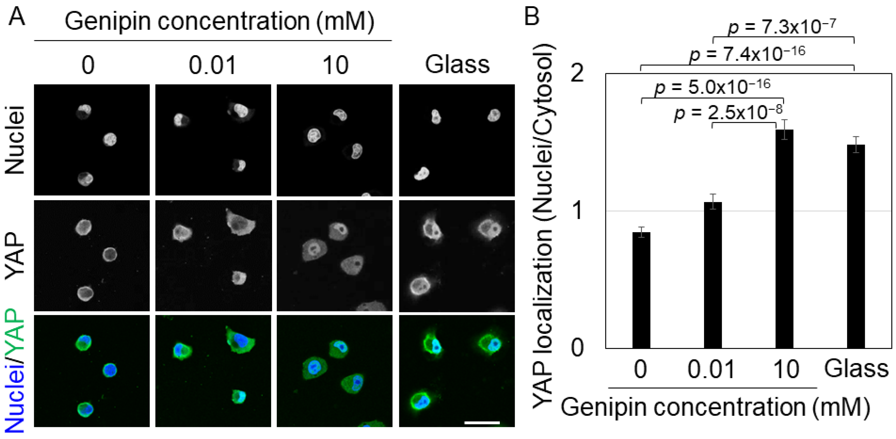 Gels 09 00148 g003 Gels 09 00148 g003