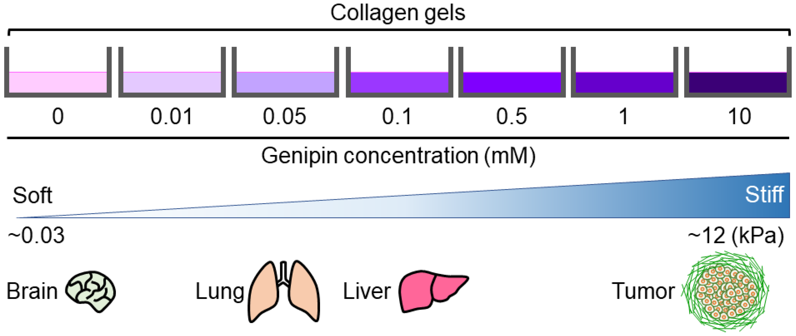 Gels 09 00148 g006 Gels 09 00148 g006
