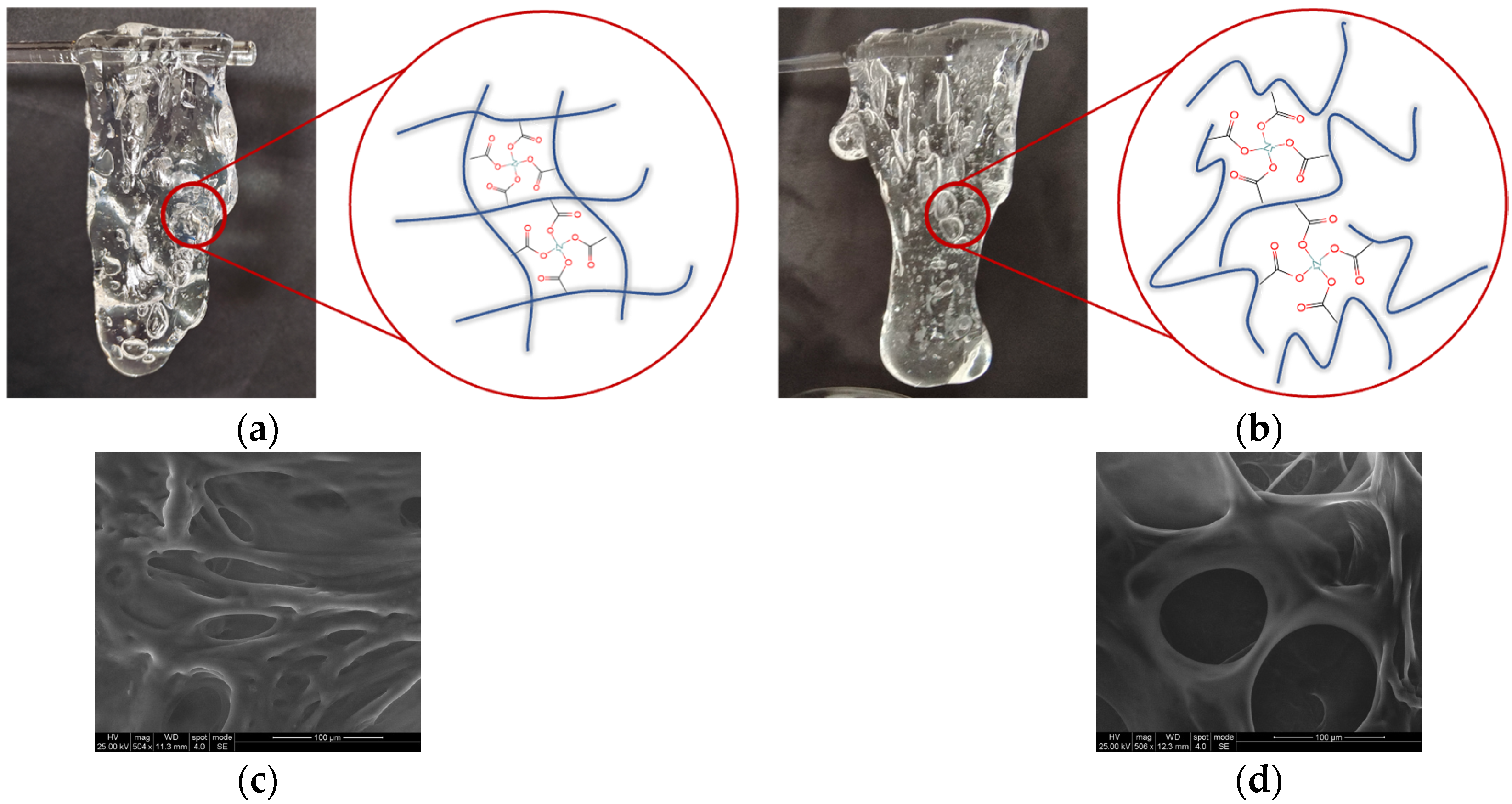 Gels 09 00151 g010 Gels 09 00151 g010