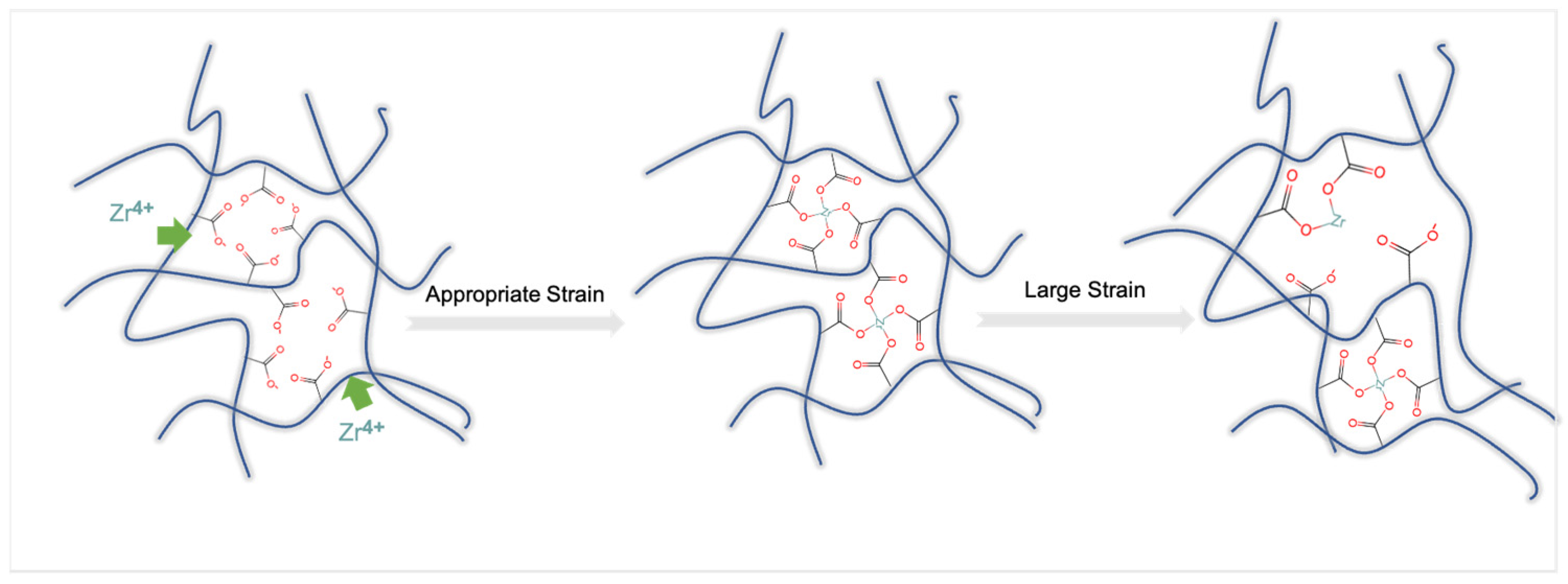 Gels 09 00151 g012 Gels 09 00151 g012