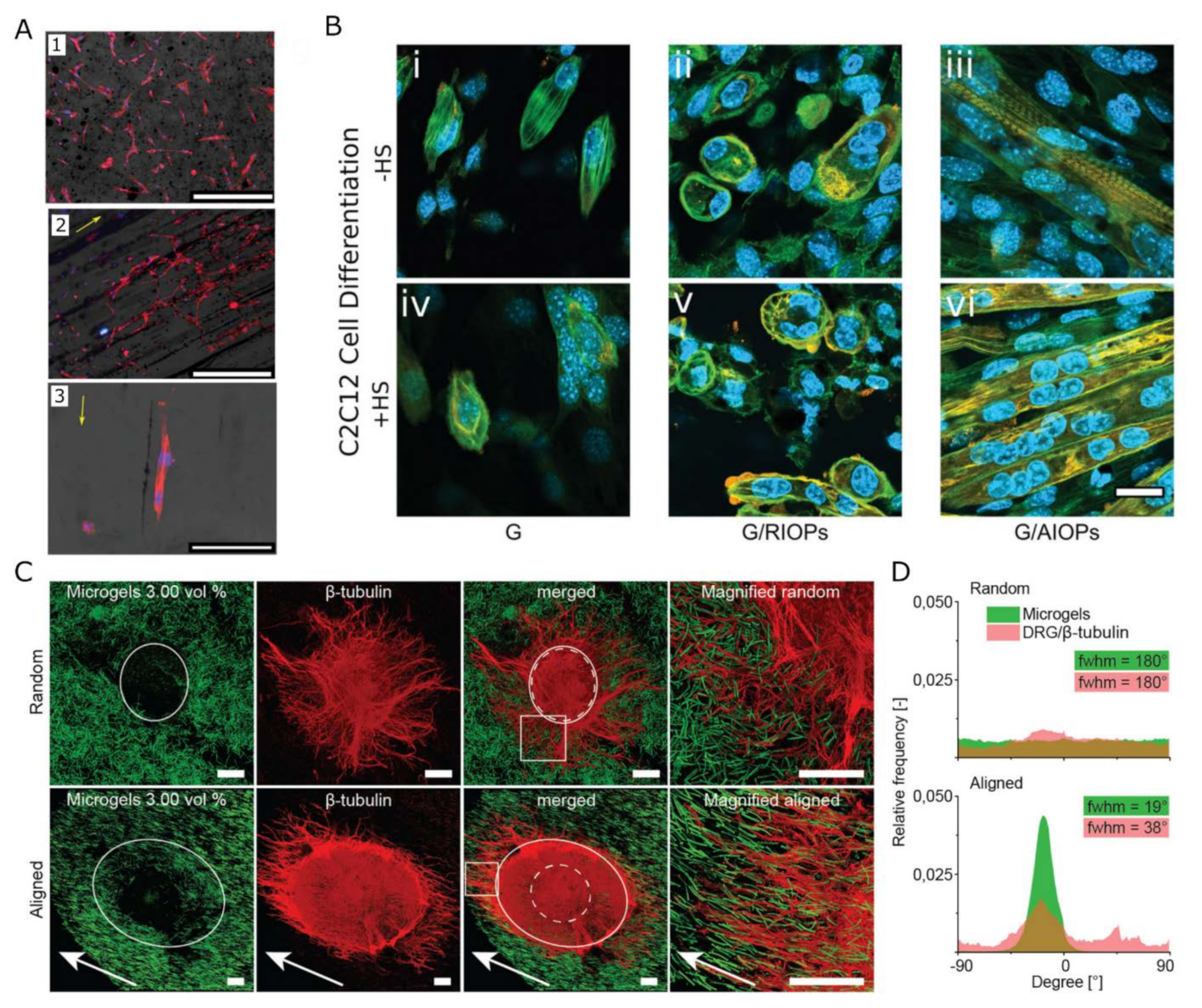 Gels 09 00153 g002 550