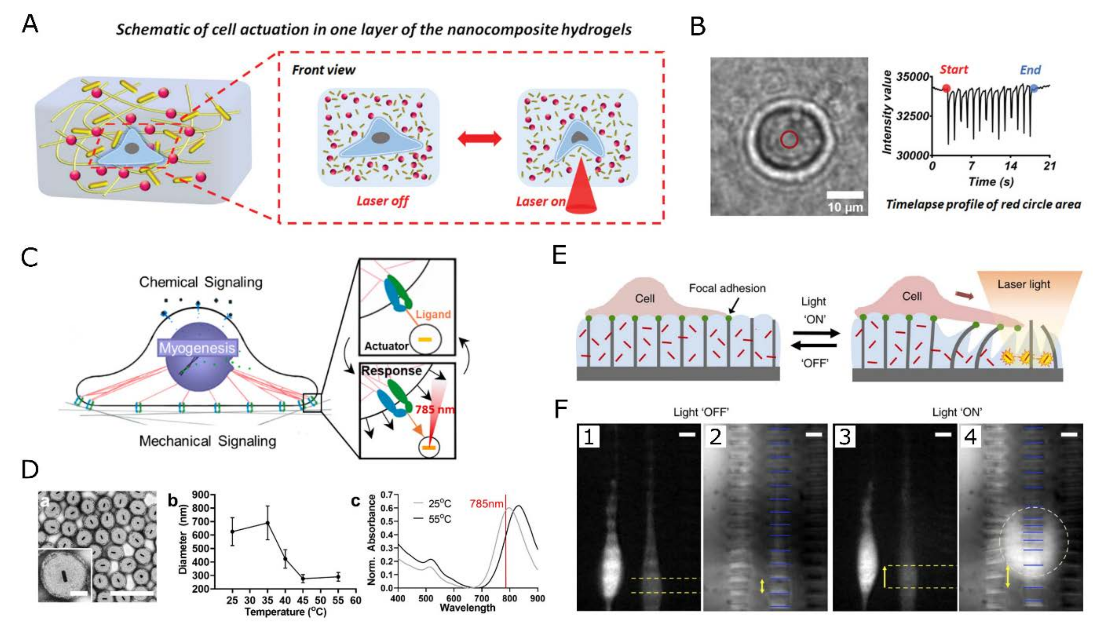 Gels 09 00153 g005 550