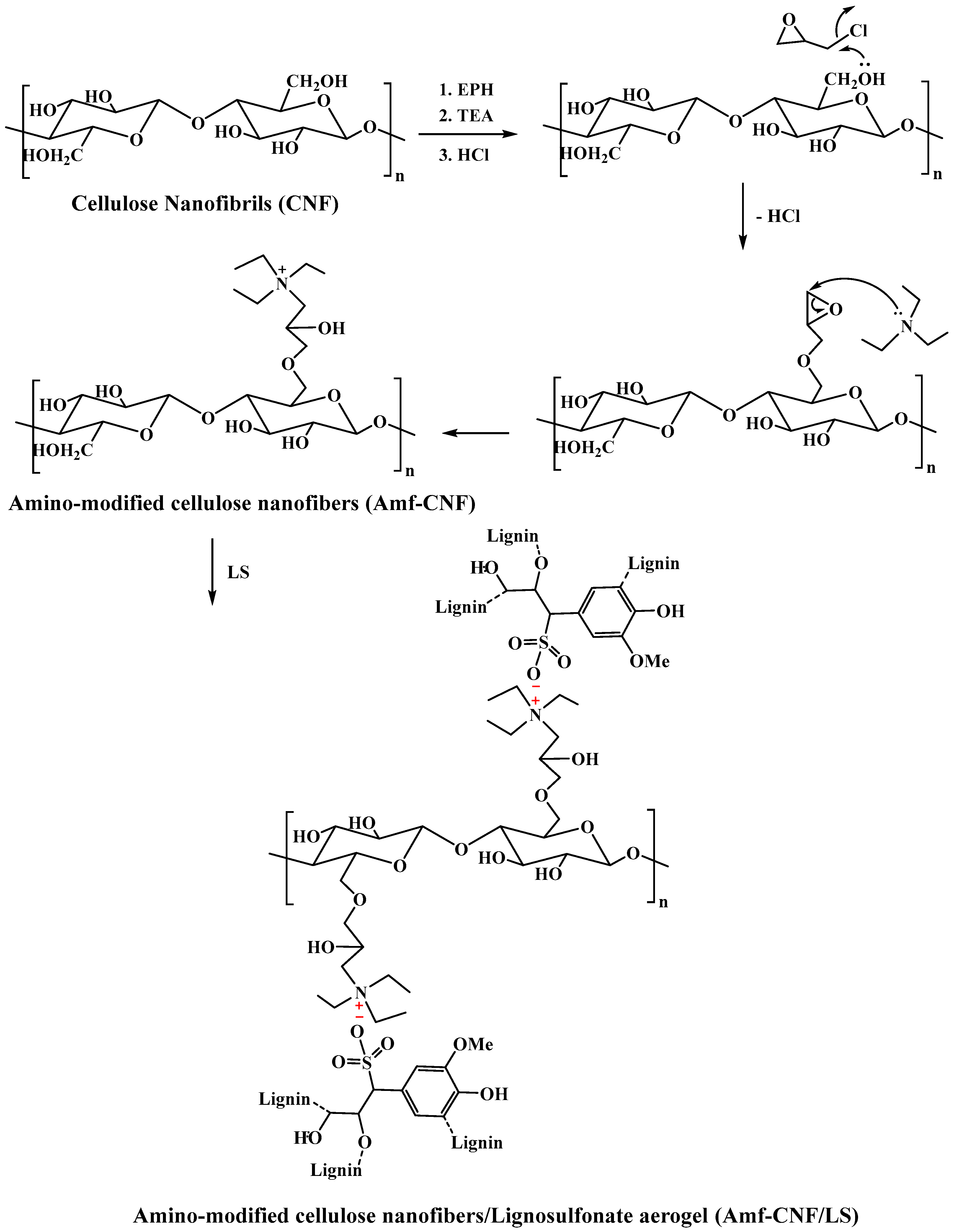 Gels 09 00154 sch001 550