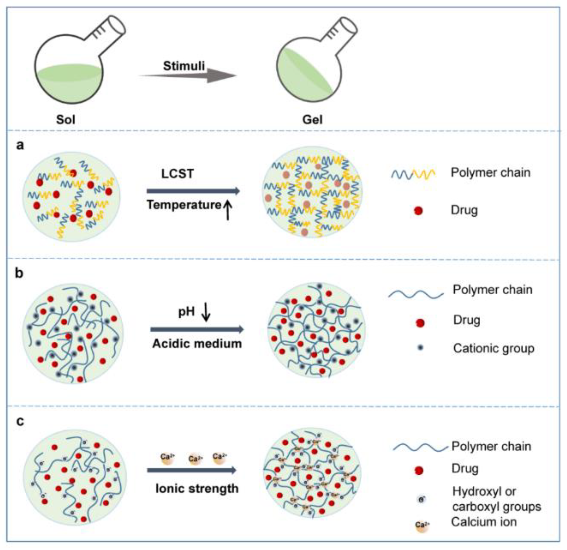 Gels Free FullText Polymer Gels Classification and Recent