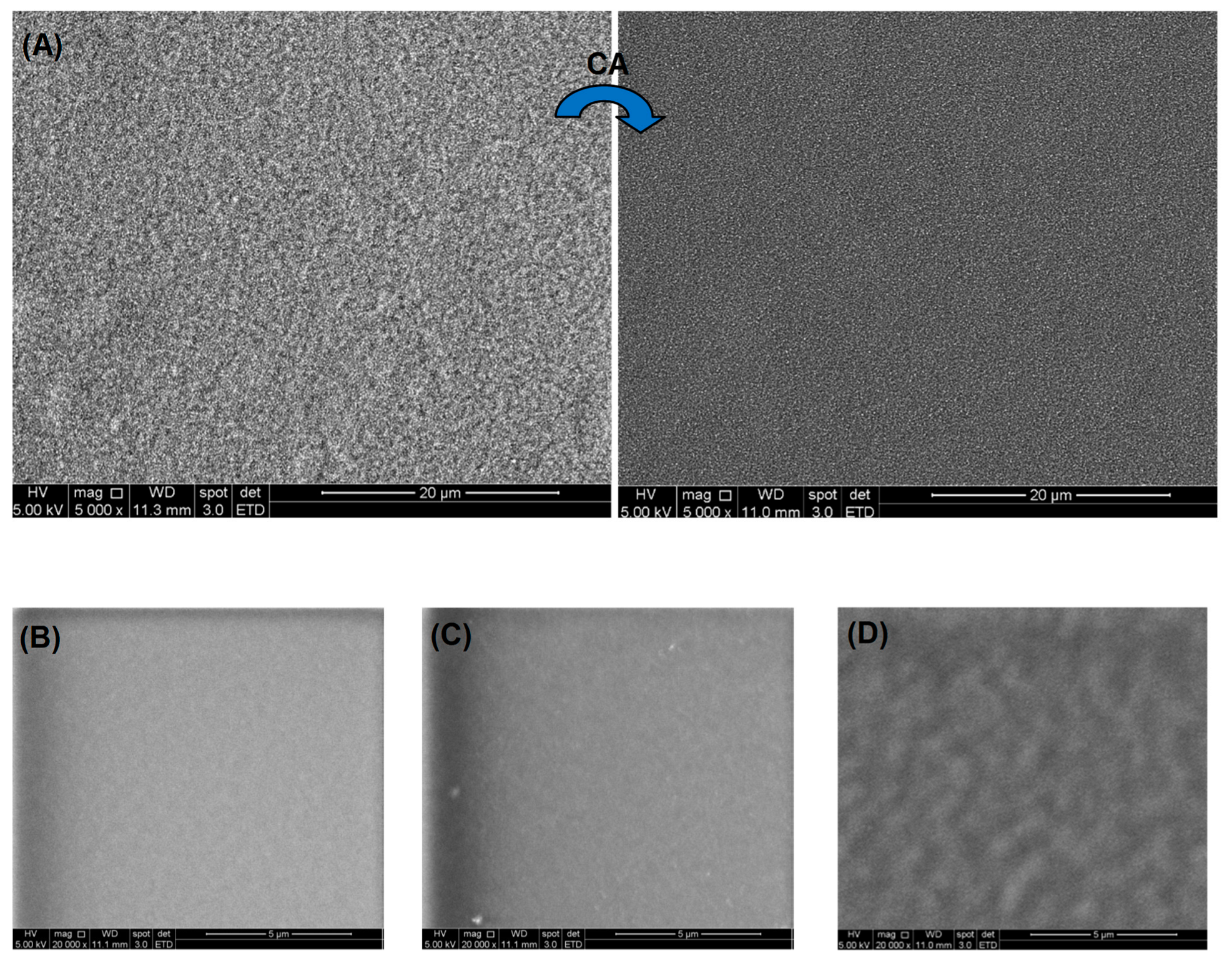 Gels 09 00166 g012 Gels 09 00166 g012