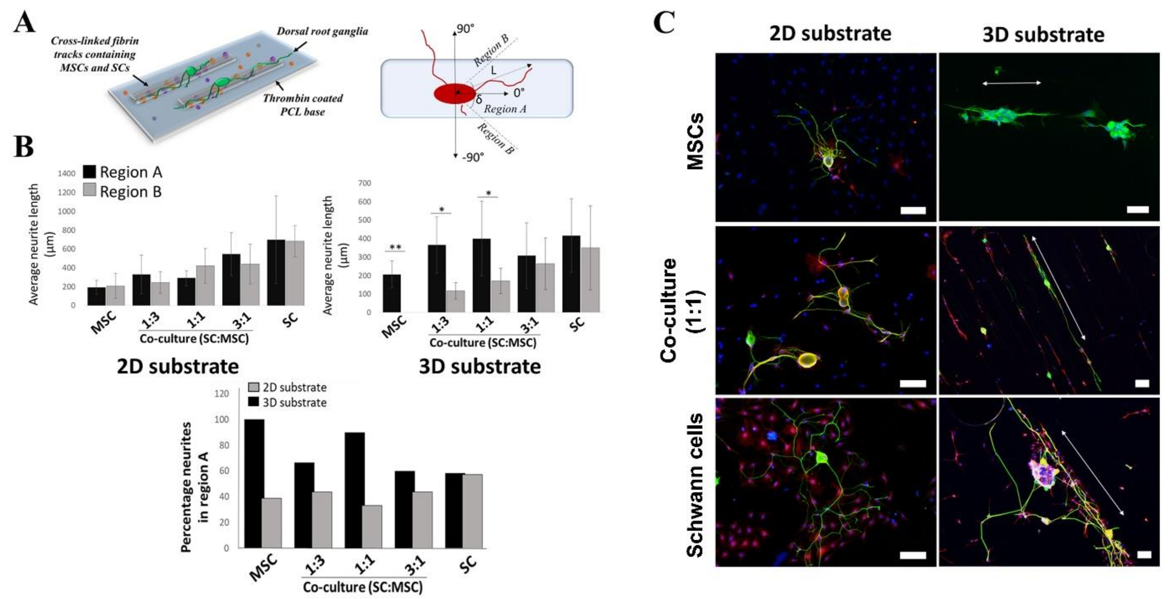 Gels 09 00172 g004 Gels 09 00172 g004
