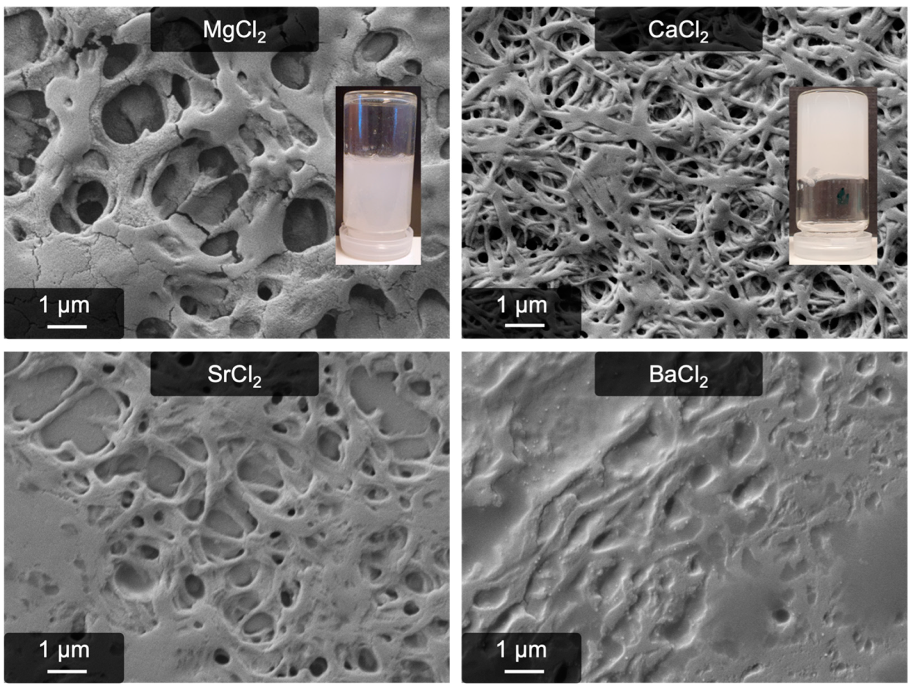 Gels 09 00175 g001 Gels 09 00175 g001