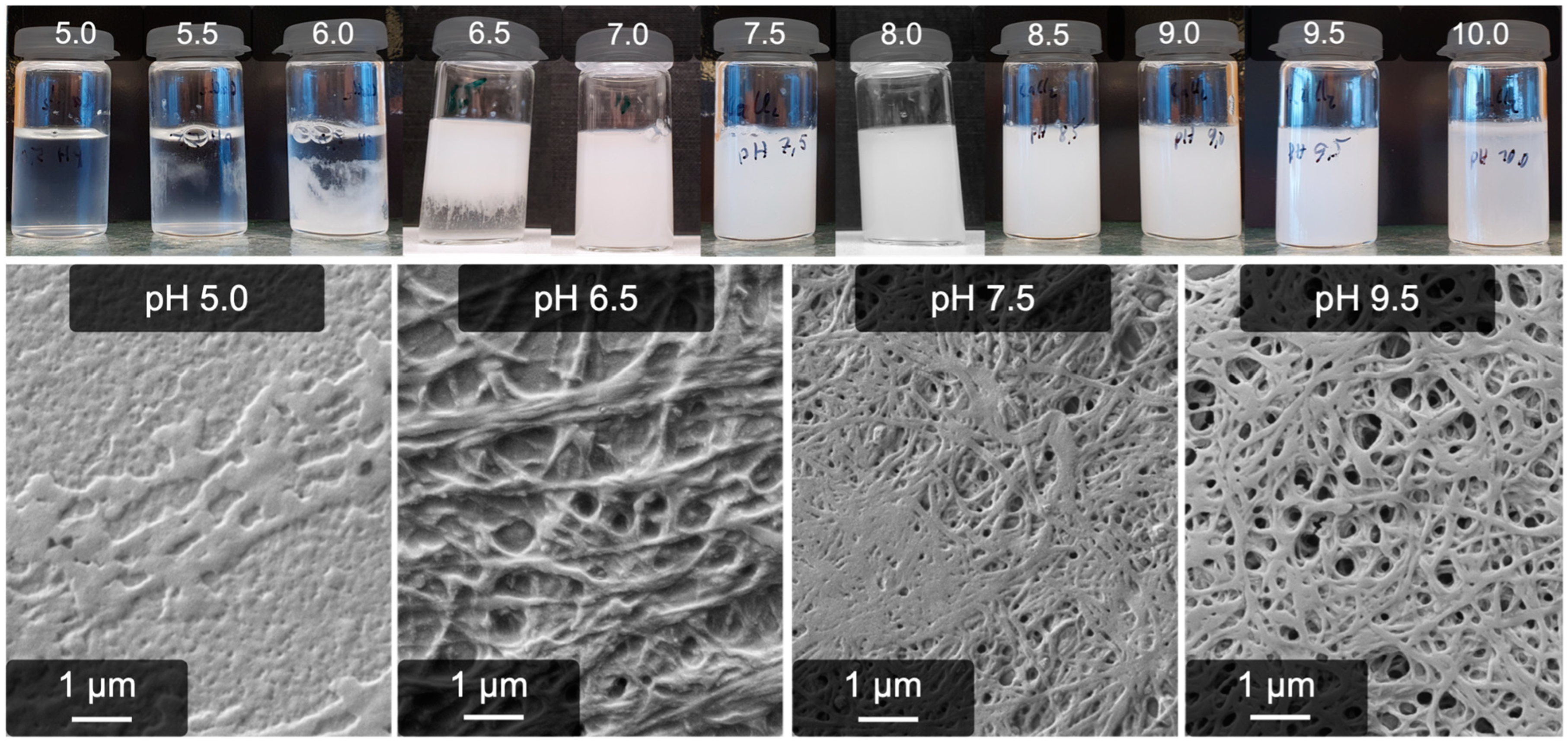 Gels 09 00175 g002 Gels 09 00175 g002