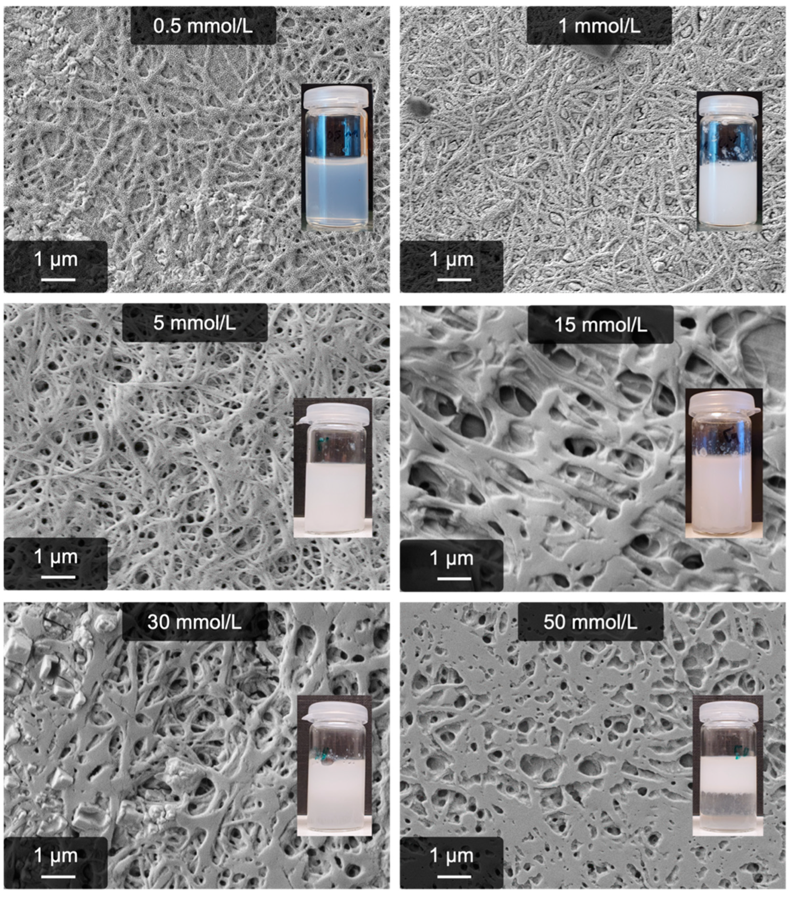 Gels 09 00175 g005 Gels 09 00175 g005