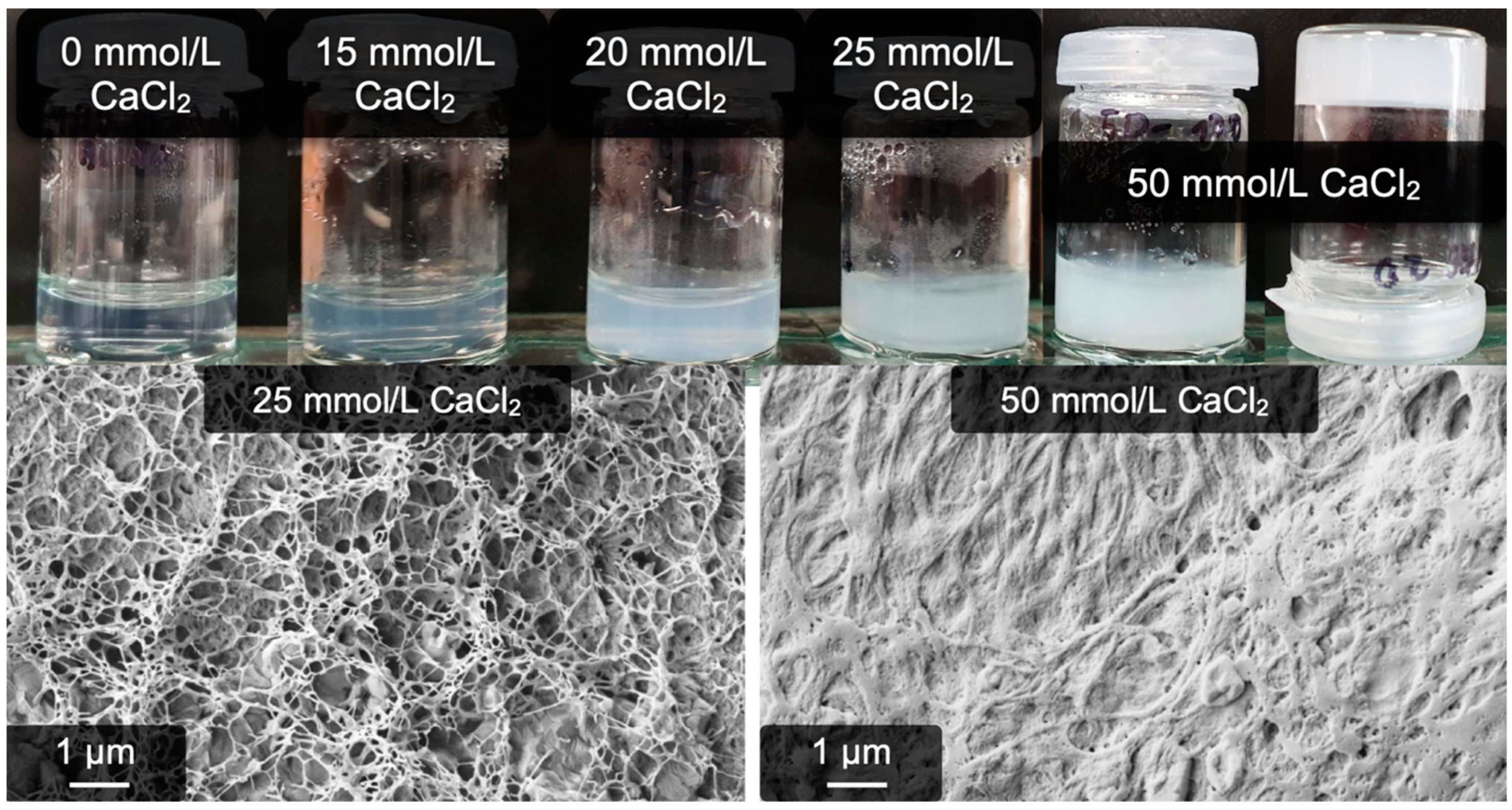 Gels 09 00175 g007 Gels 09 00175 g007