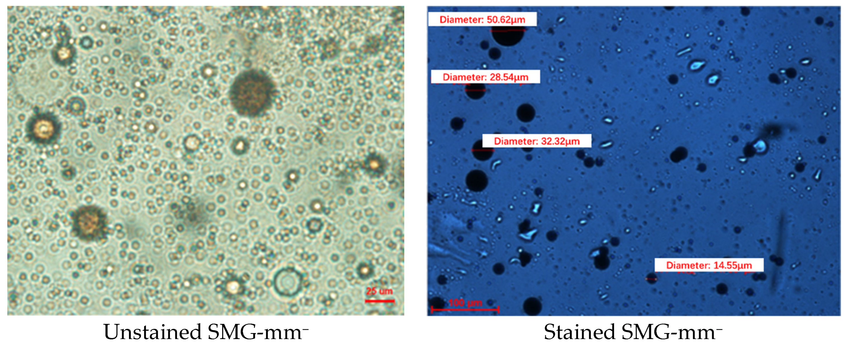 Gels 09 00177 g001 Gels 09 00177 g001