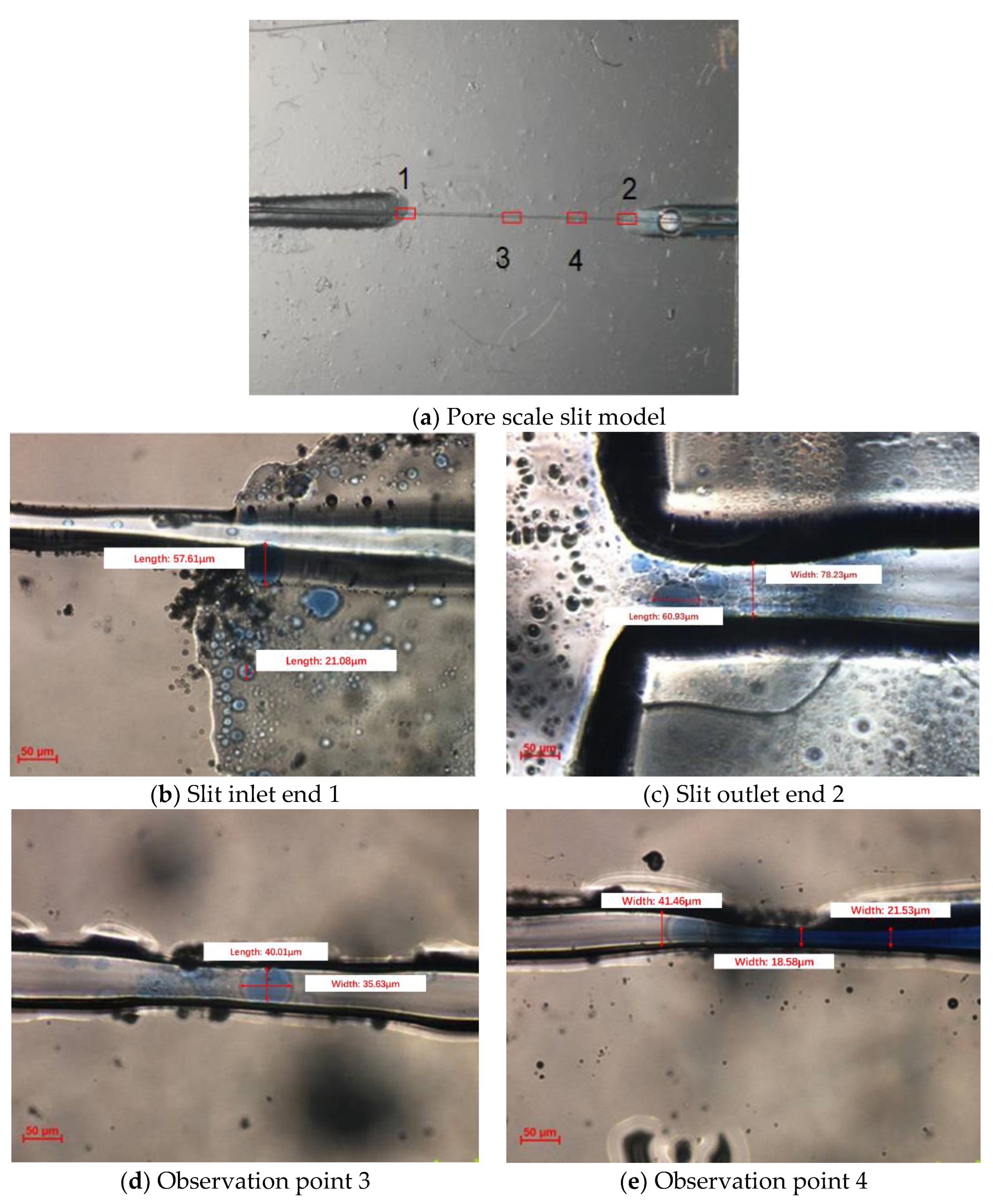 Gels 09 00177 g004 Gels 09 00177 g004