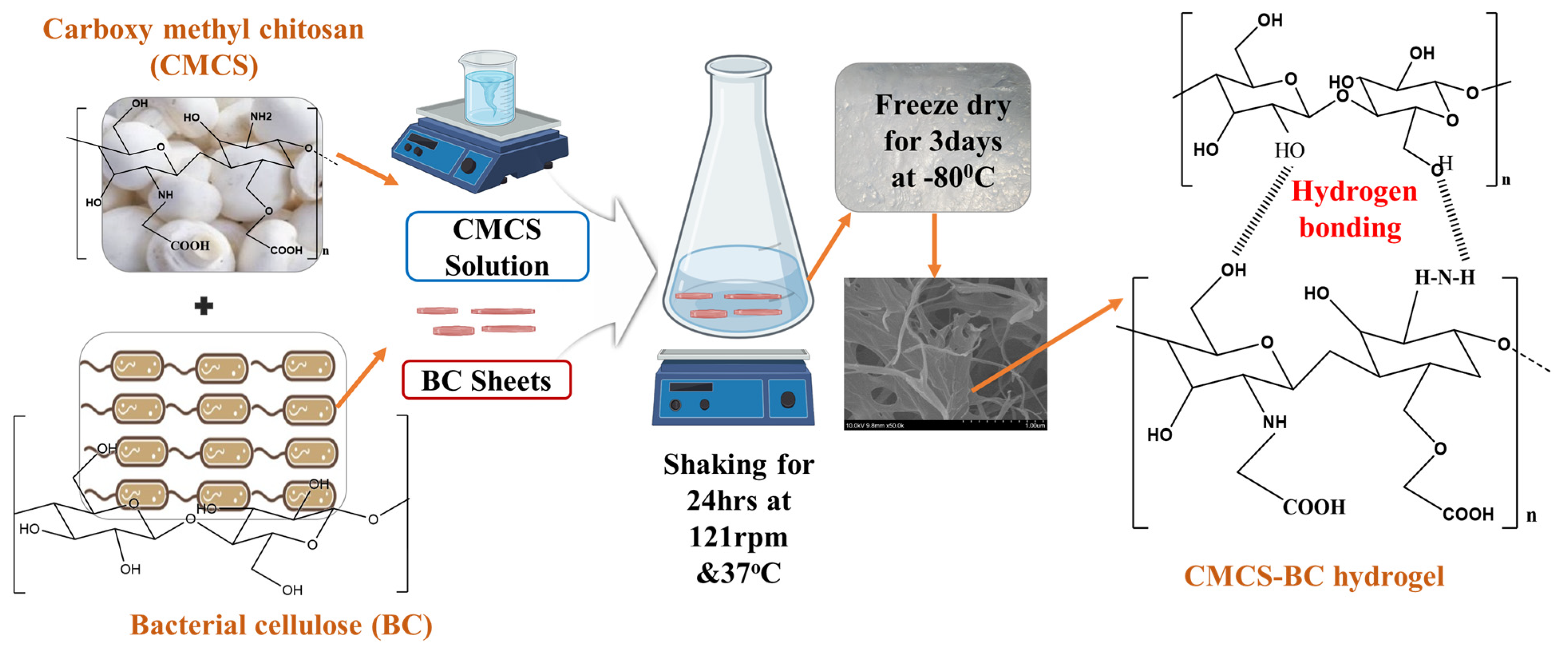 Gels 09 00184 sch001