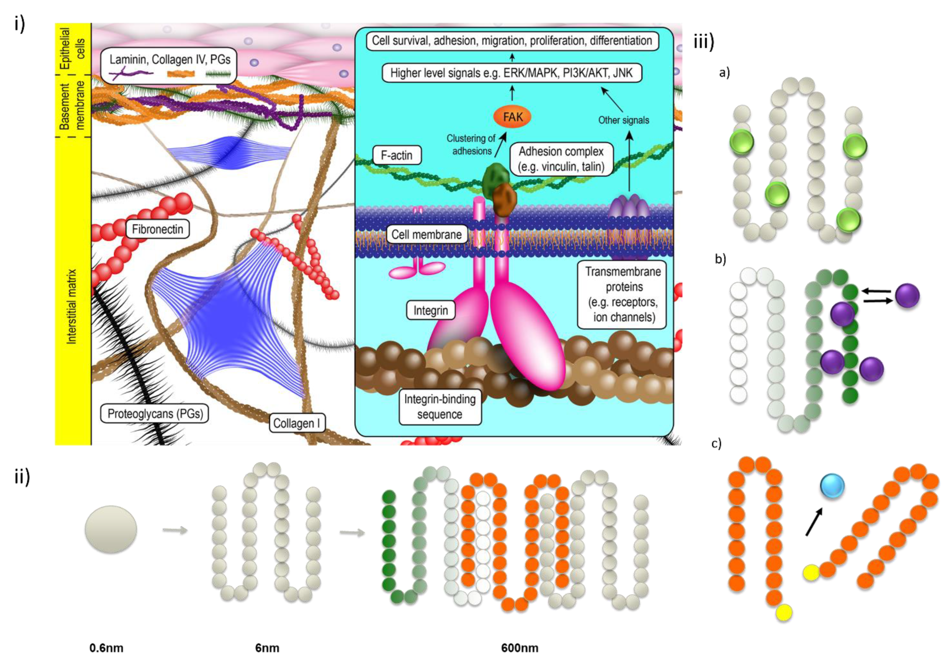 Gels 09 00199 g001 Gels 09 00199 g001