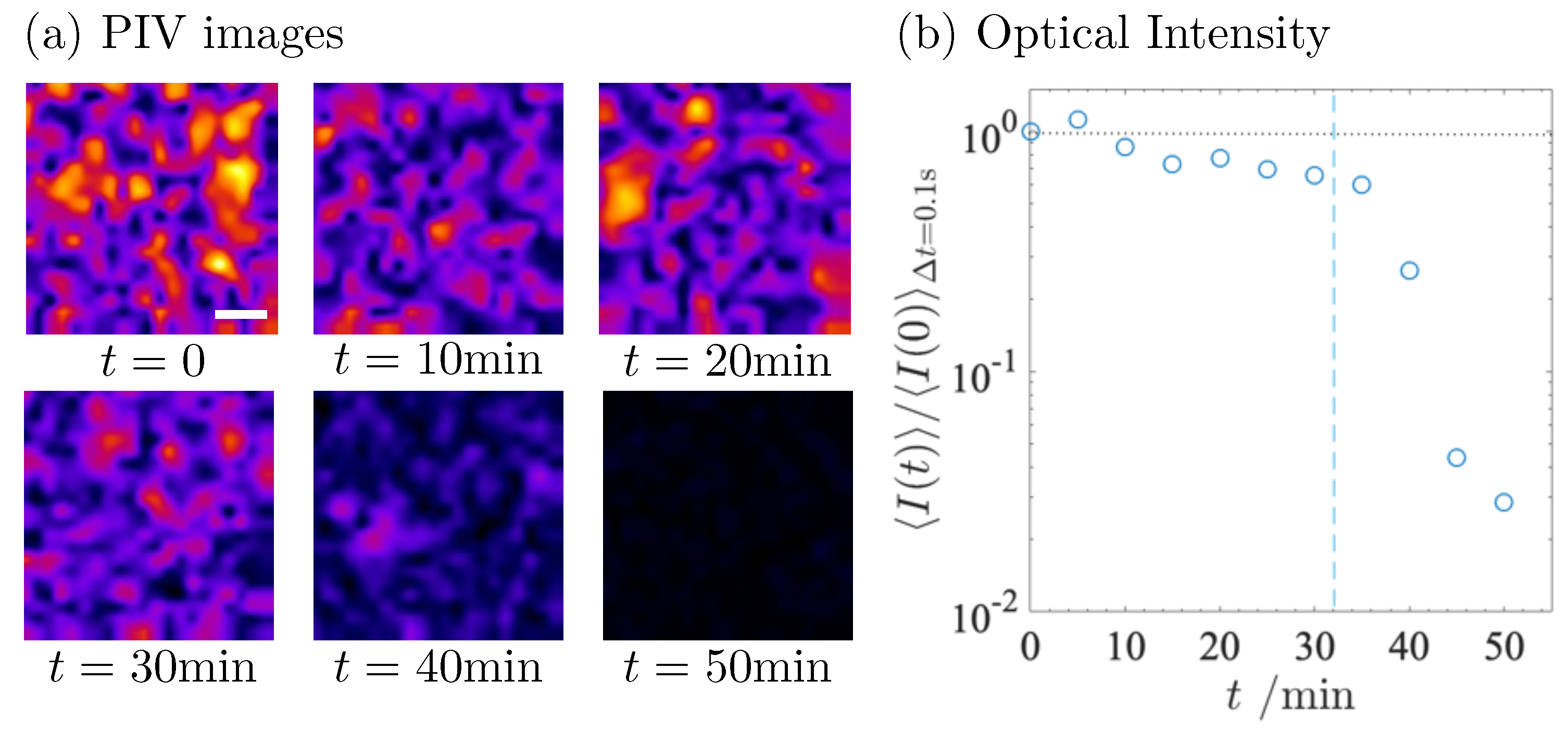 Gels 09 00202 g002 Gels 09 00202 g002