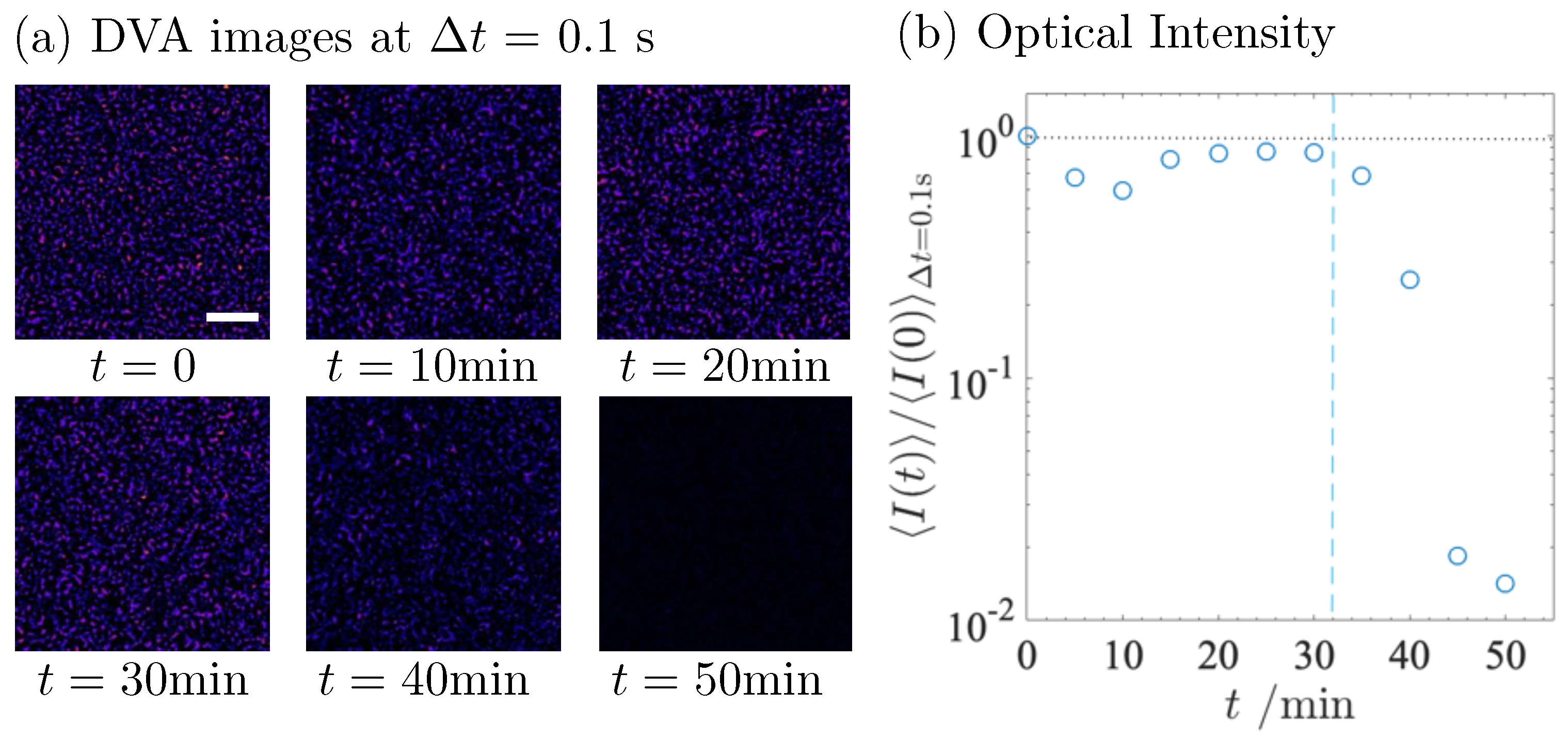 Gels 09 00202 g004 Gels 09 00202 g004