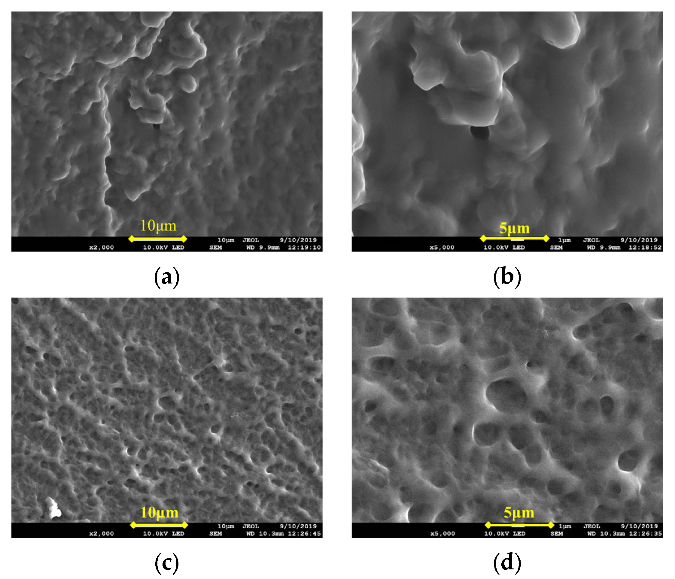 Gels 09 00205 g001 550