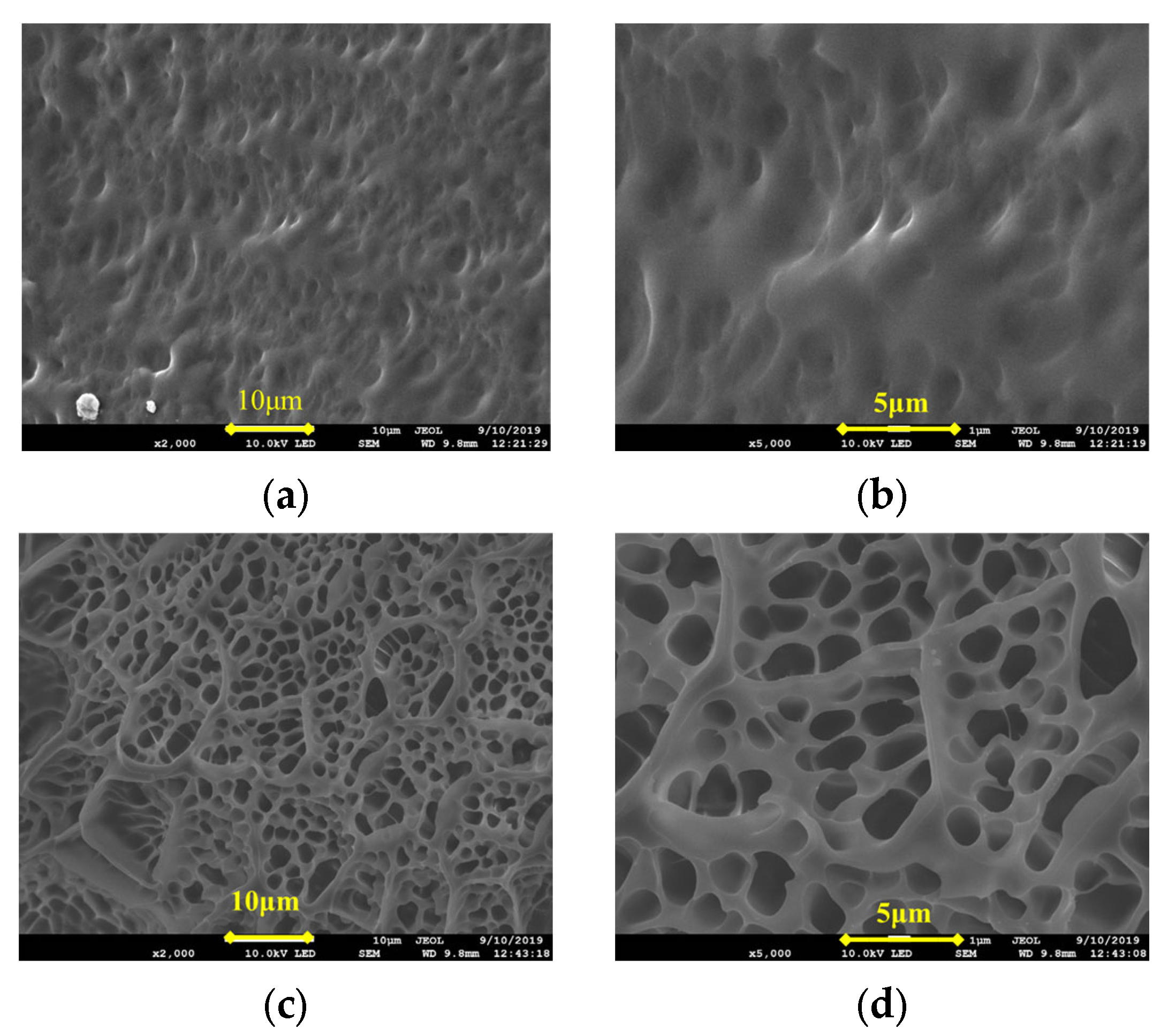 Gels 09 00205 g002 550