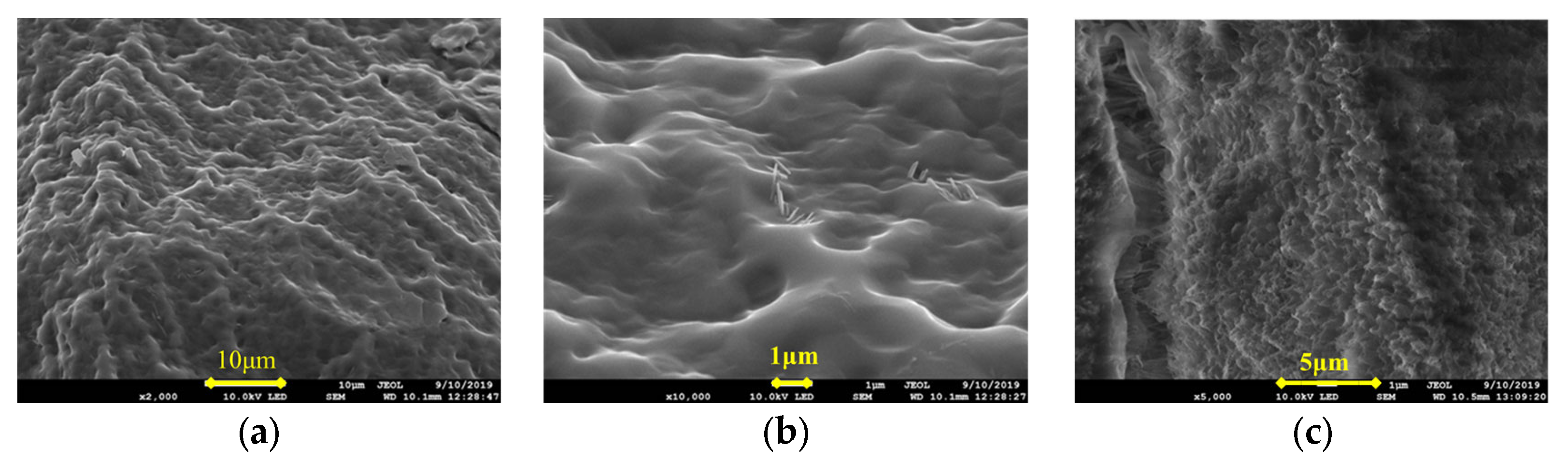 Gels 09 00205 g003a 550