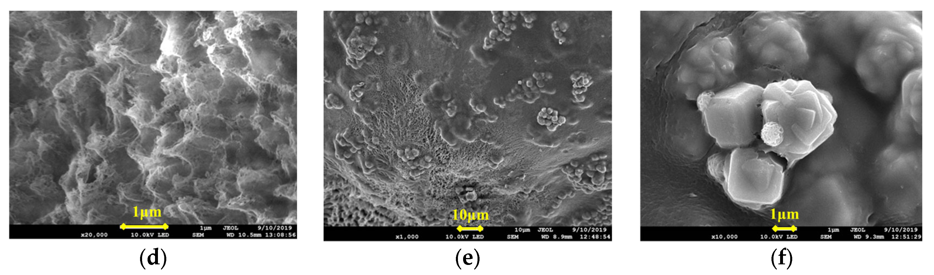 Gels 09 00205 g003b 550