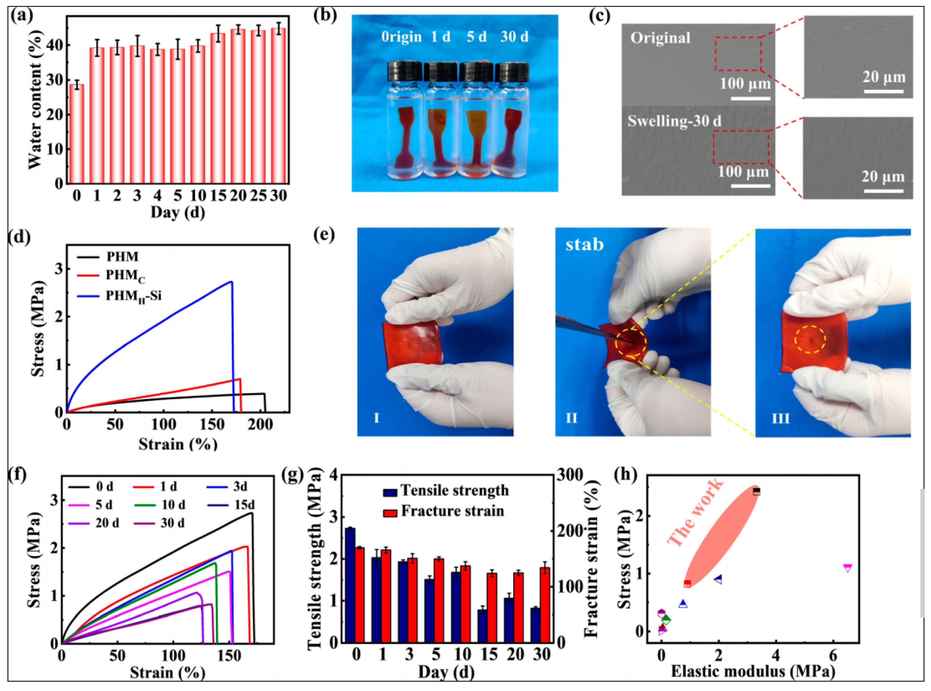 Gels 09 00207 g003 Gels 09 00207 g003